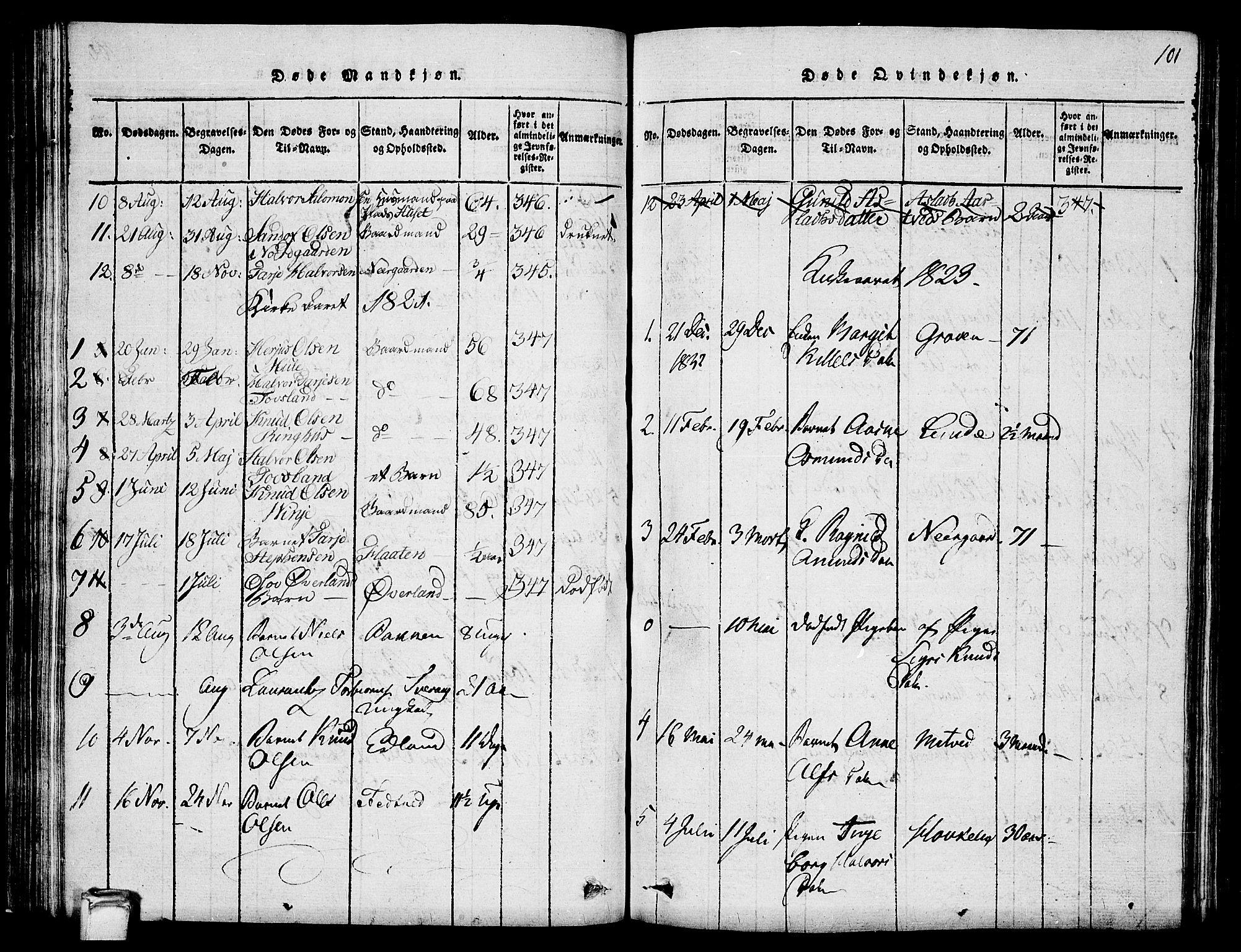 Vinje kirkebøker, SAKO/A-312/G/Ga/L0001: Parish register (copy) no. I 1, 1814-1843, p. 101