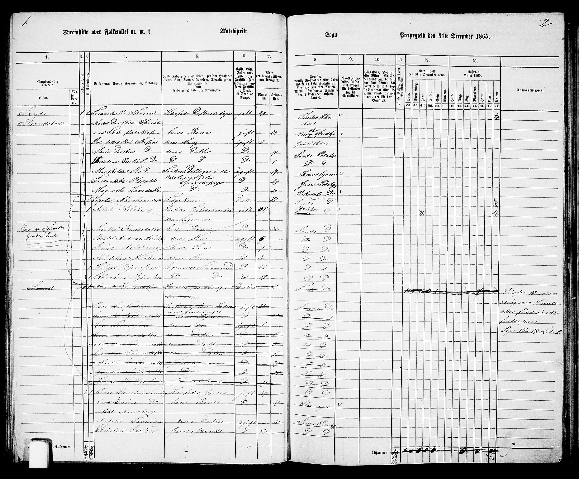 RA, 1865 census for Sand, 1865, p. 60