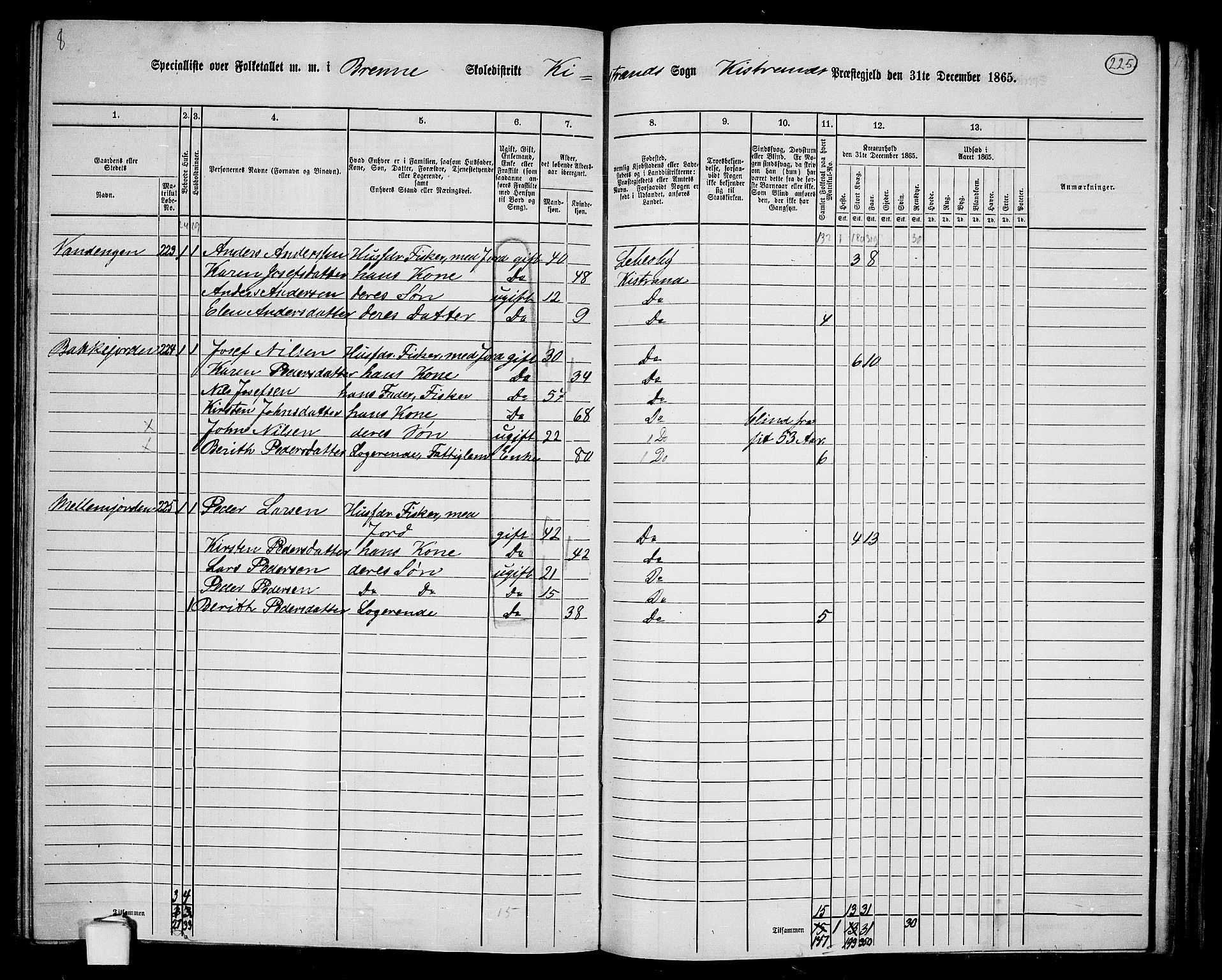 RA, 1865 census for Kistrand, 1865, p. 66