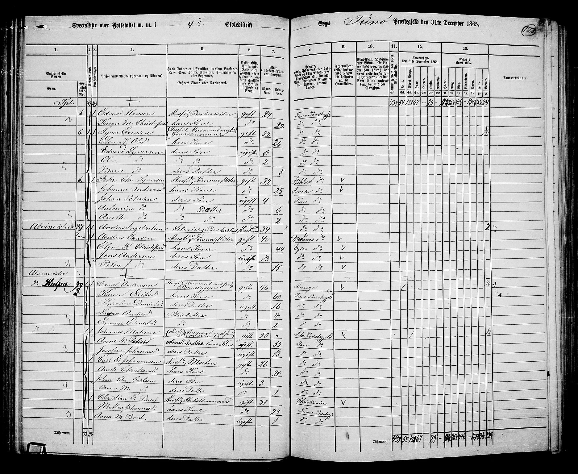 RA, 1865 census for Tune, 1865, p. 116