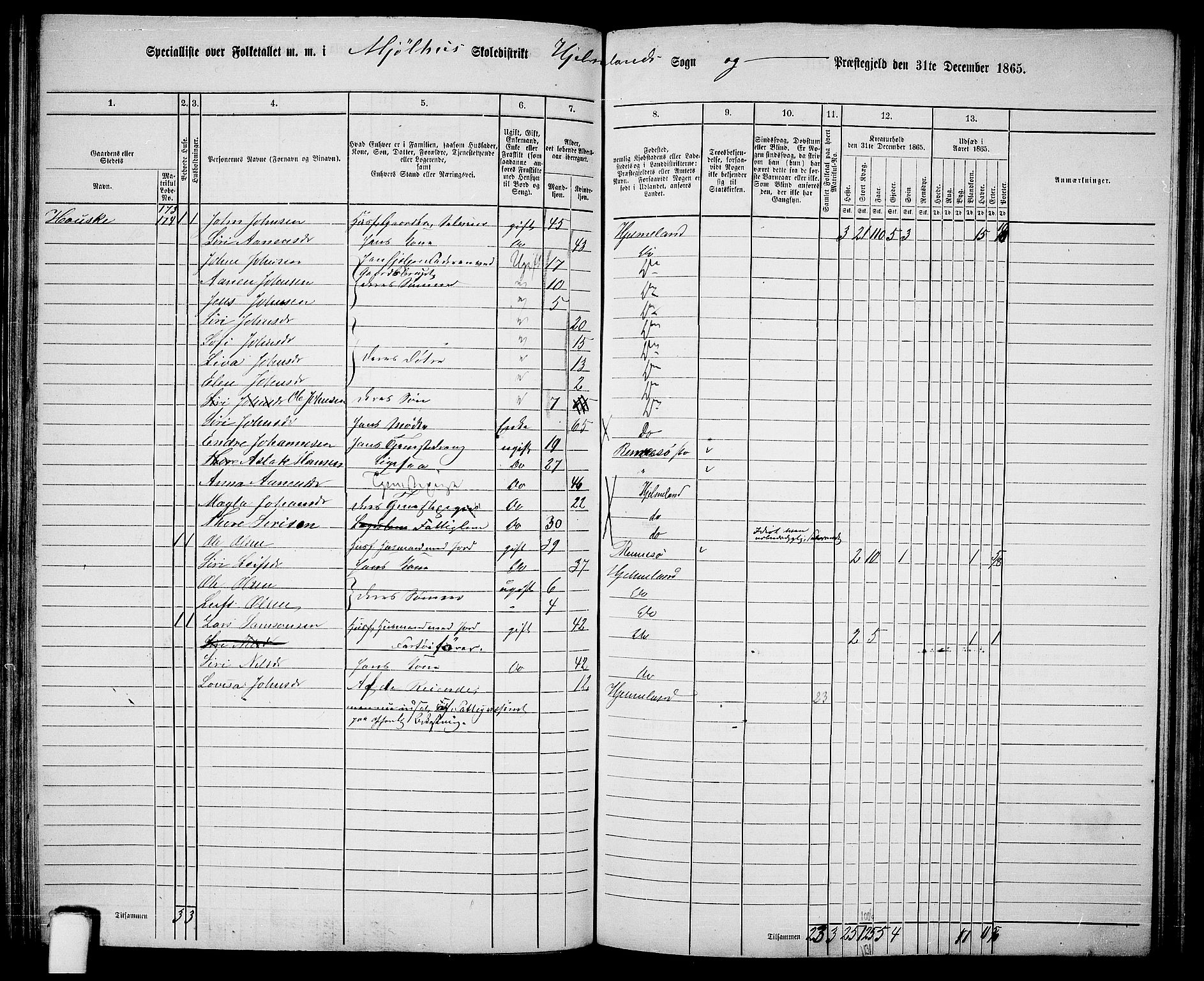 RA, 1865 census for Hjelmeland, 1865, p. 105