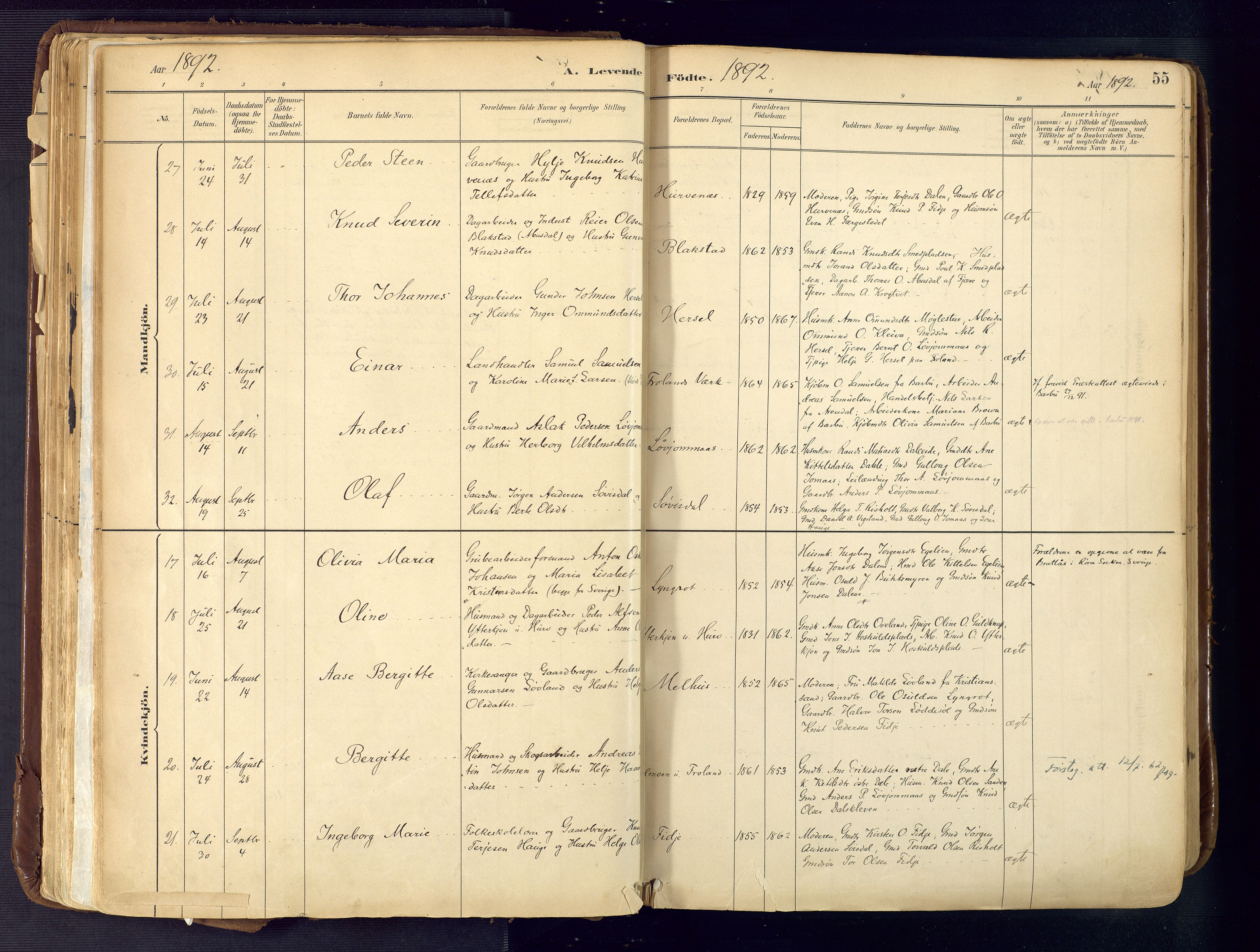 Froland sokneprestkontor, SAK/1111-0013/F/Fa/L0005: Parish register (official) no. A 5, 1882-1921, p. 55