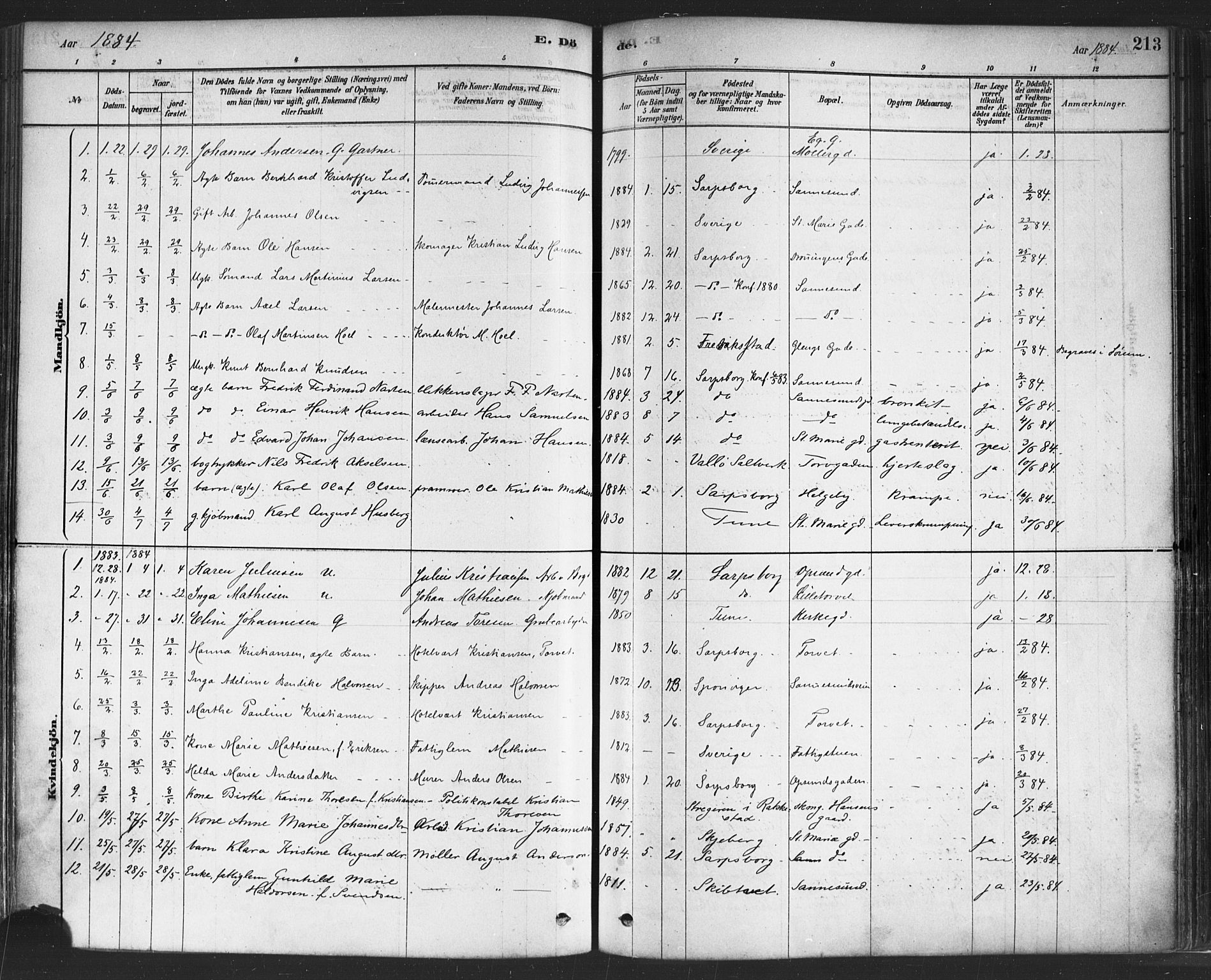Sarpsborg prestekontor Kirkebøker, SAO/A-2006/F/Fa/L0003: Parish register (official) no. 3, 1878-1891, p. 213