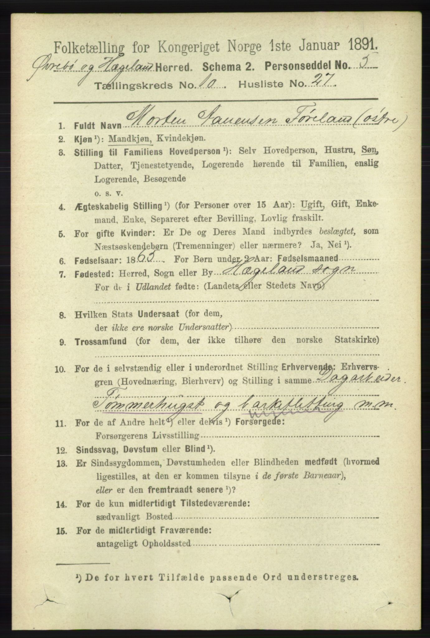 RA, 1891 census for 1016 Øvrebø og Hægeland, 1891, p. 2203