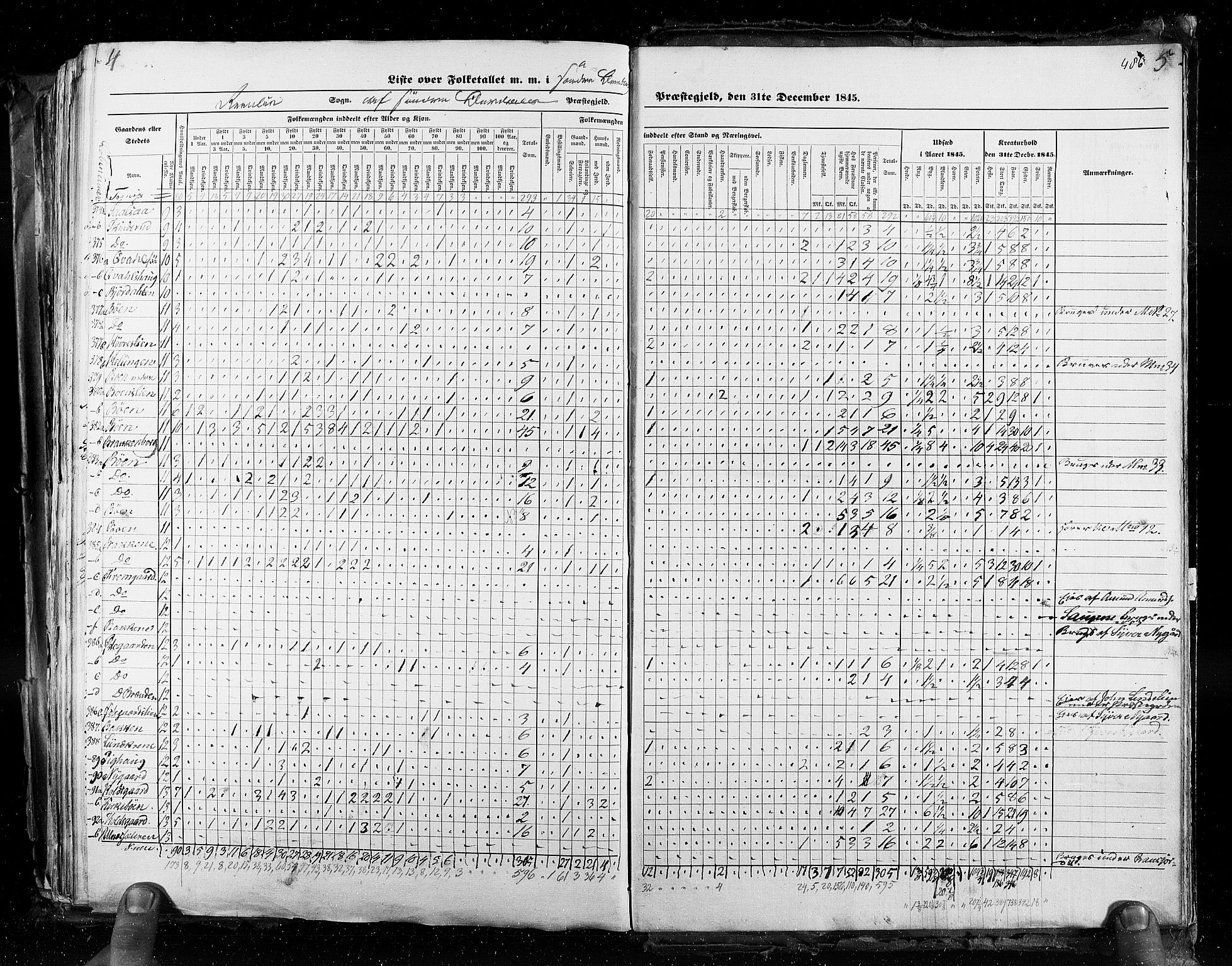 RA, Census 1845, vol. 3: Hedemarken amt og Kristians amt, 1845, p. 486