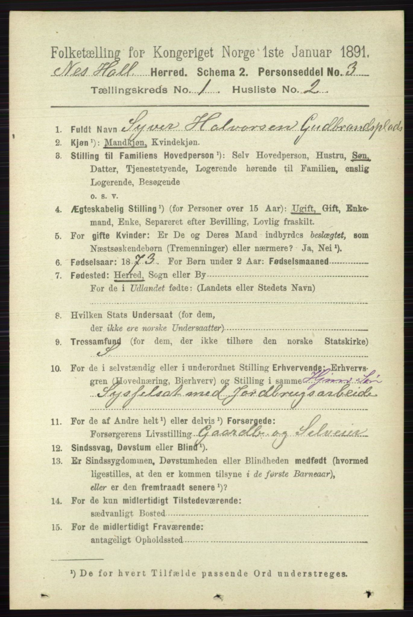 RA, 1891 census for 0616 Nes, 1891, p. 181