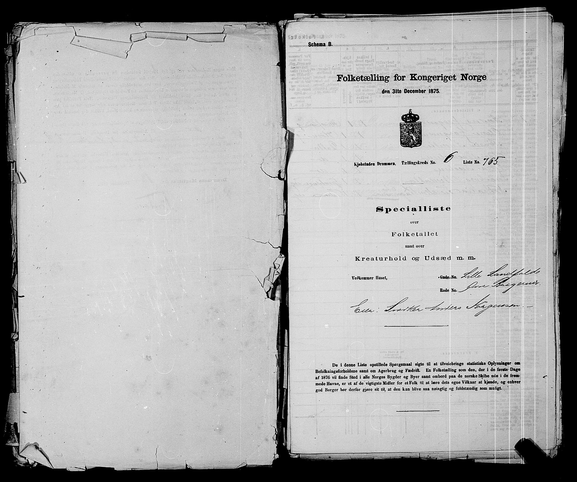 SAKO, 1875 census for 0602 Drammen, 1875, p. 520