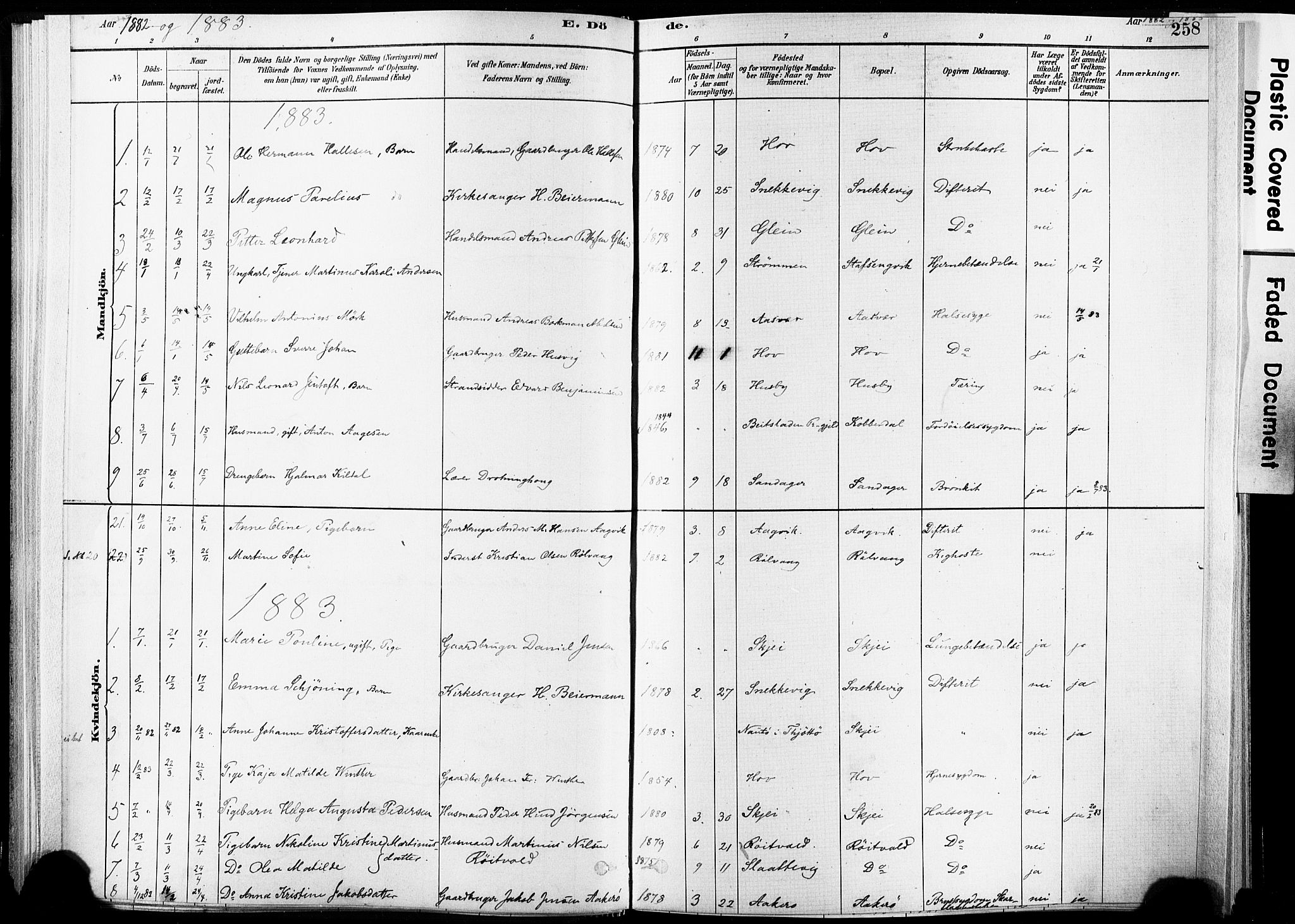 Ministerialprotokoller, klokkerbøker og fødselsregistre - Nordland, AV/SAT-A-1459/835/L0526: Parish register (official) no. 835A03II, 1881-1910, p. 258