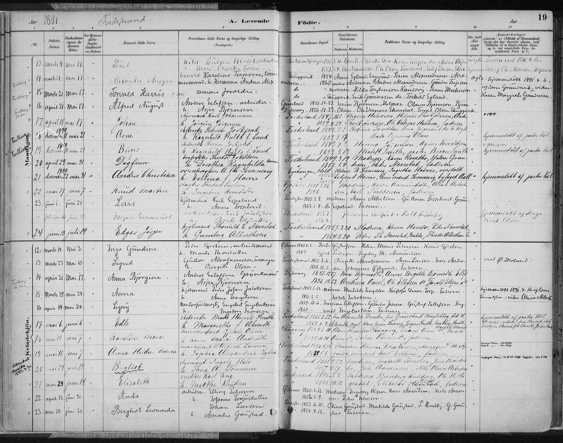 Tvedestrand sokneprestkontor, SAK/1111-0042/F/Fa/L0001: Parish register (official) no. A 1, 1885-1916, p. 19