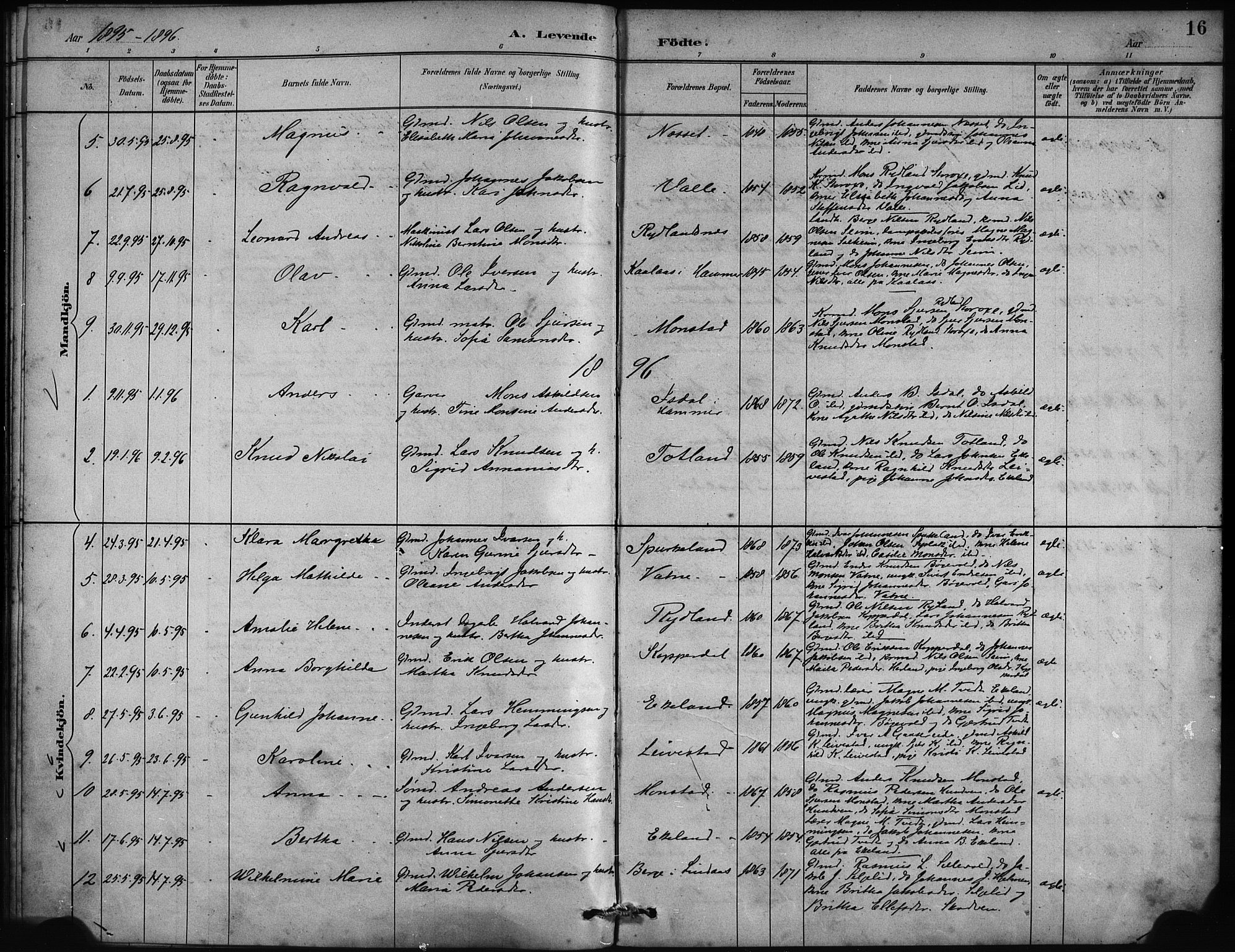 Alversund Sokneprestembete, AV/SAB-A-73901/H/Ha/Haa/Haad/L0002: Parish register (official) no. D 2, 1890-1897, p. 16