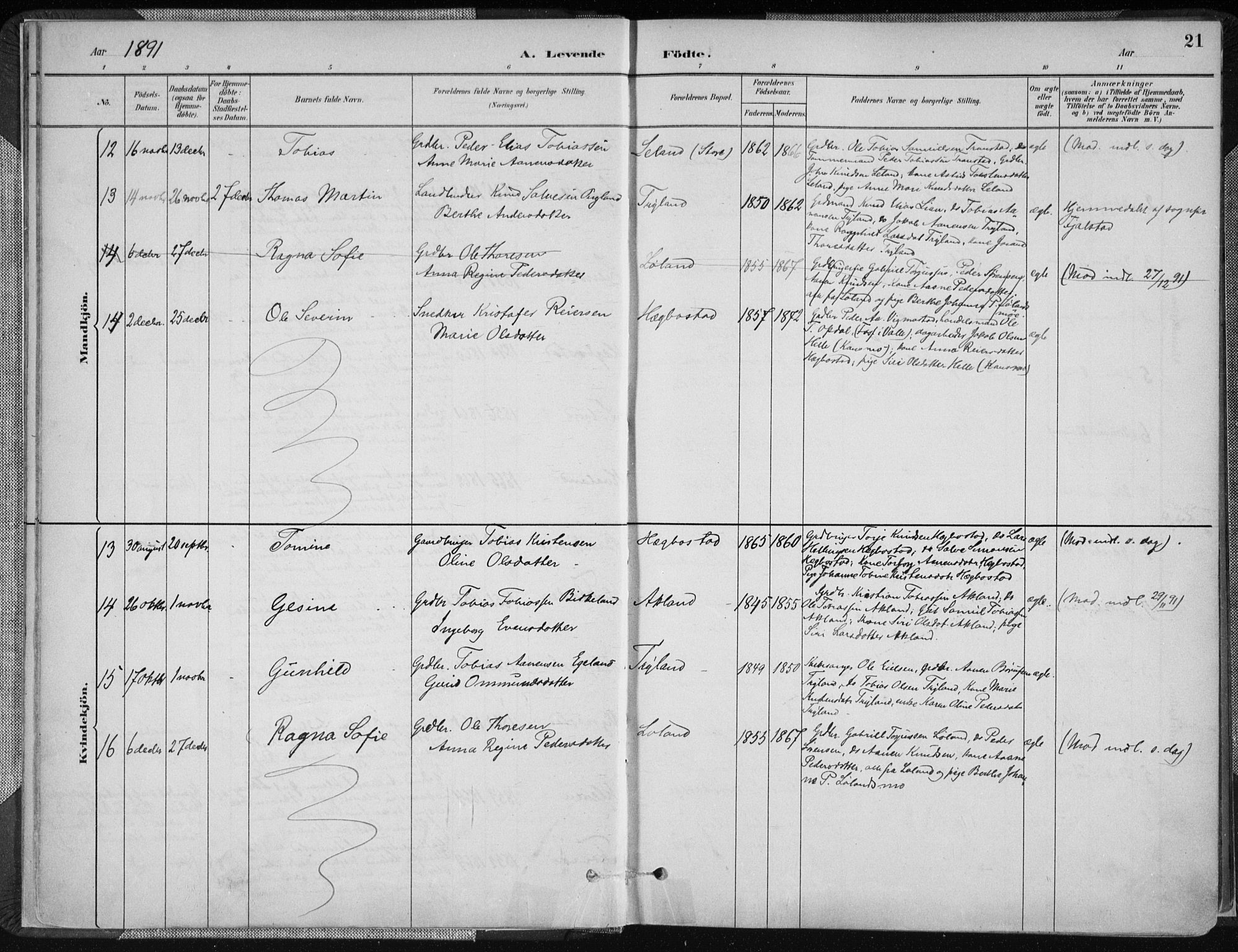 Nord-Audnedal sokneprestkontor, AV/SAK-1111-0032/F/Fa/Fab/L0003: Parish register (official) no. A 3, 1882-1900, p. 21