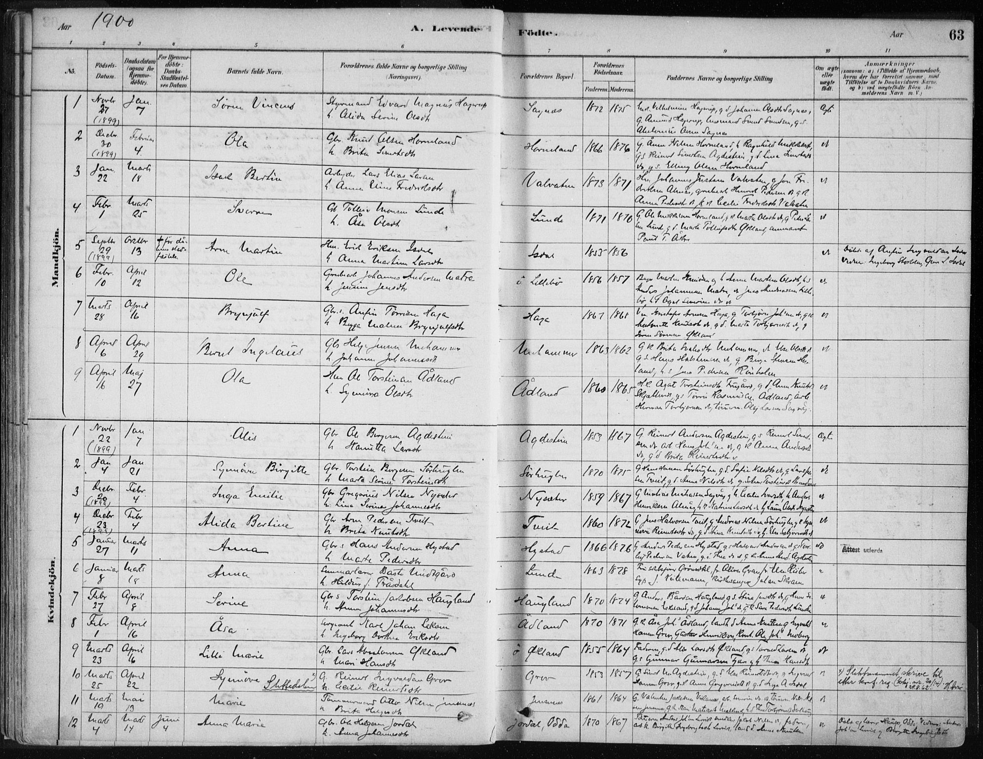Stord sokneprestembete, SAB/A-78201/H/Haa: Parish register (official) no. B 2, 1878-1913, p. 63