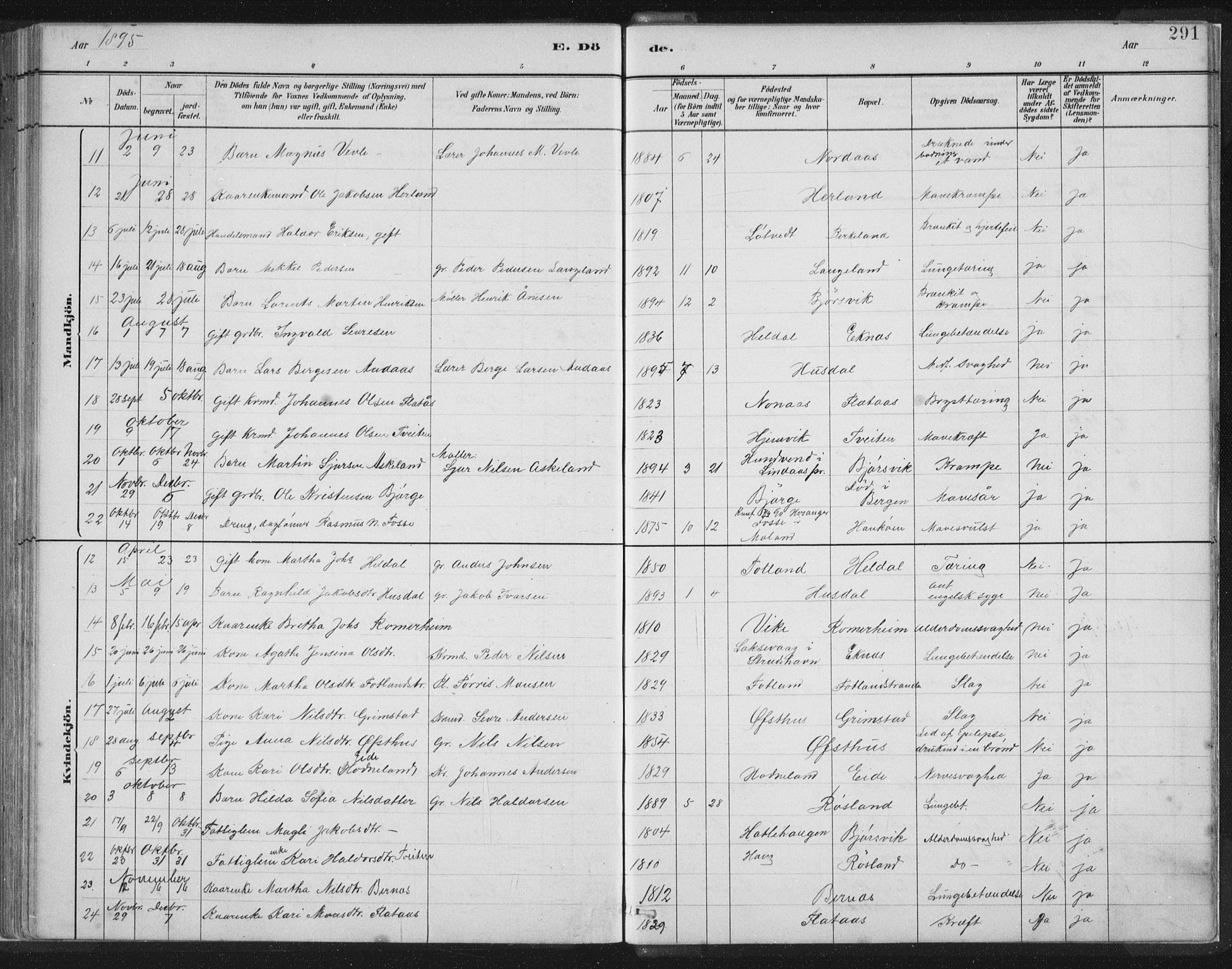 Hosanger sokneprestembete, SAB/A-75801/H/Hab: Parish register (copy) no. A 3 II, 1882-1903, p. 291