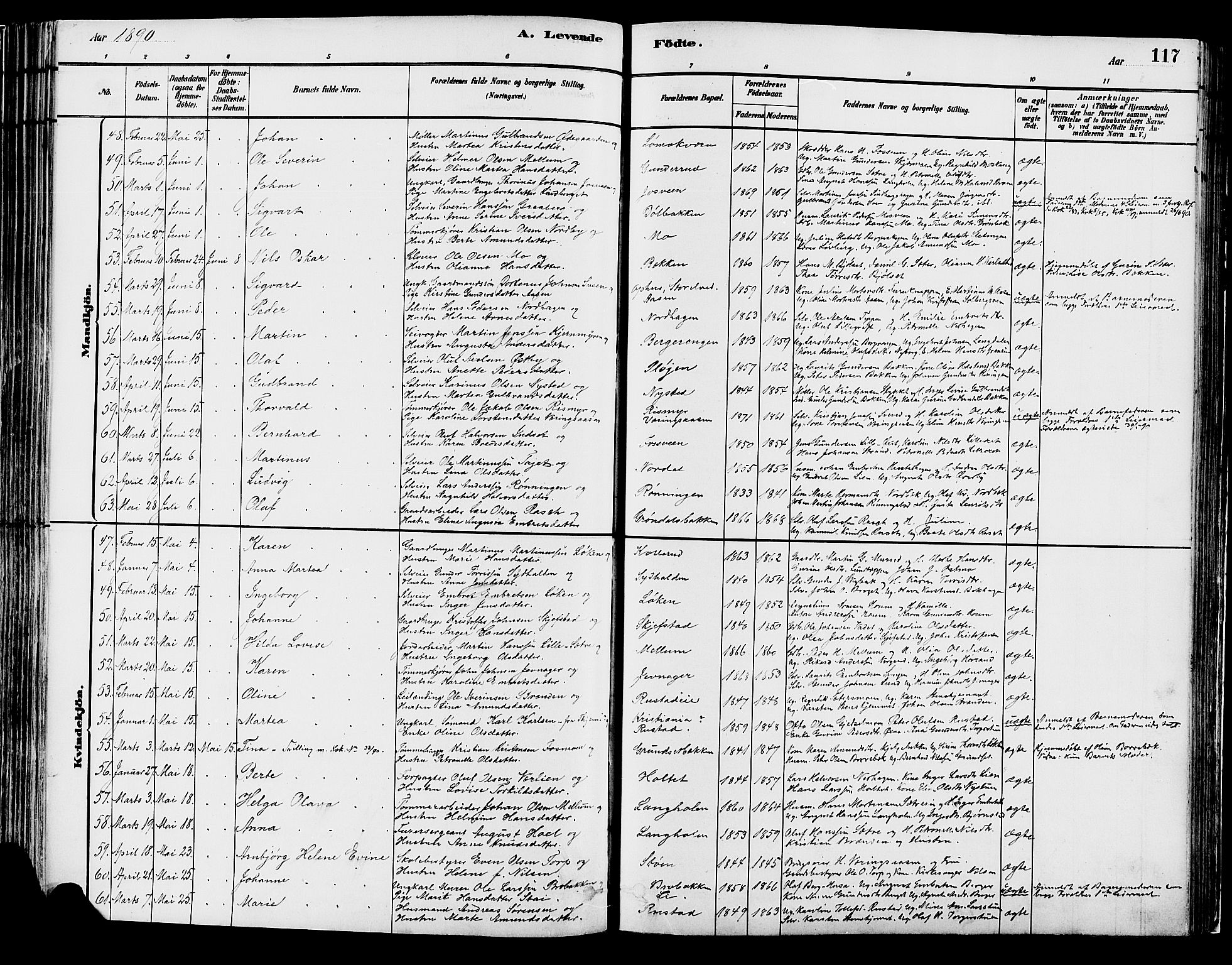 Elverum prestekontor, AV/SAH-PREST-044/H/Ha/Haa/L0013: Parish register (official) no. 13, 1880-1890, p. 117