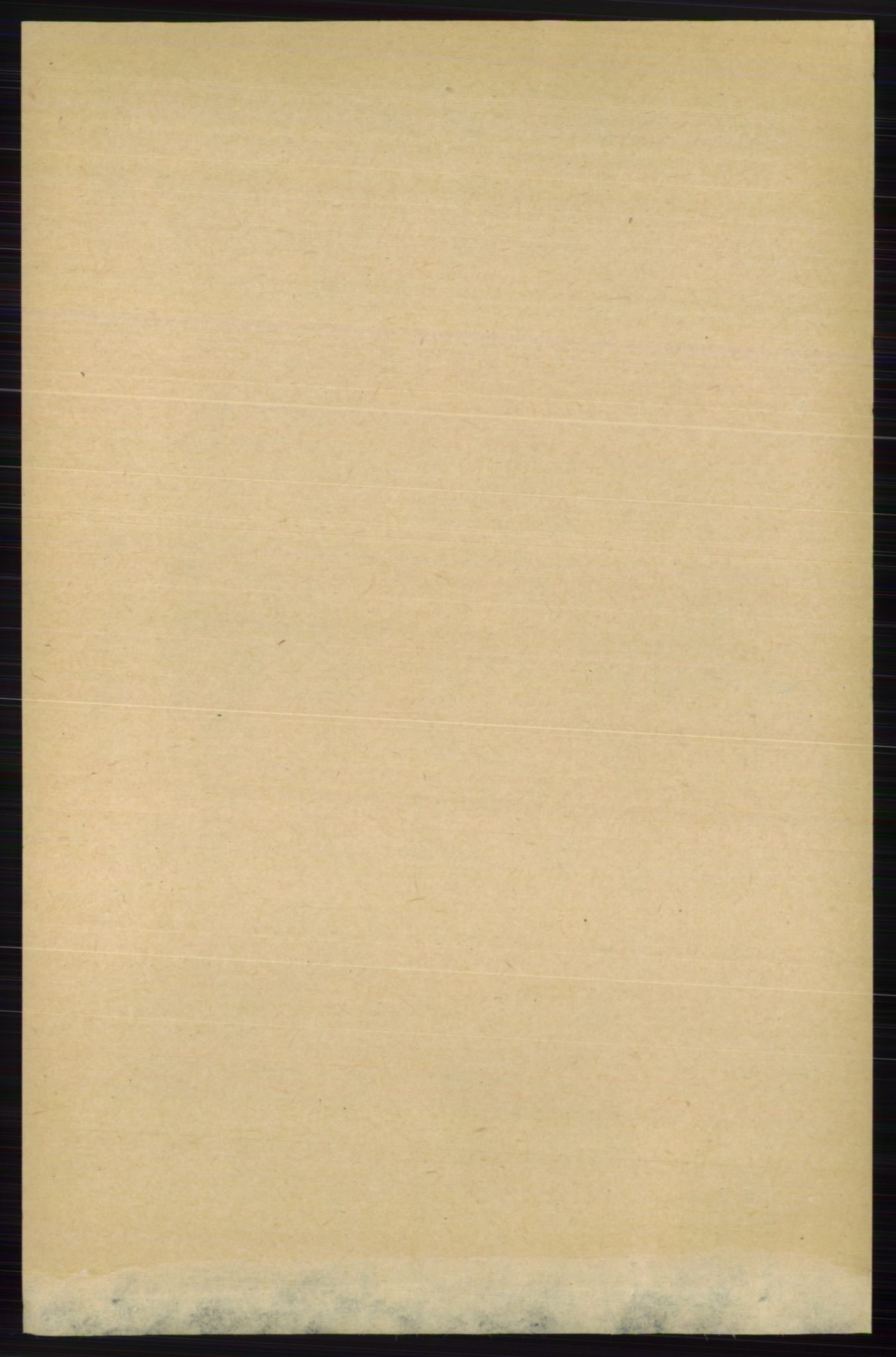 RA, 1891 census for 0717 Borre, 1891, p. 1665