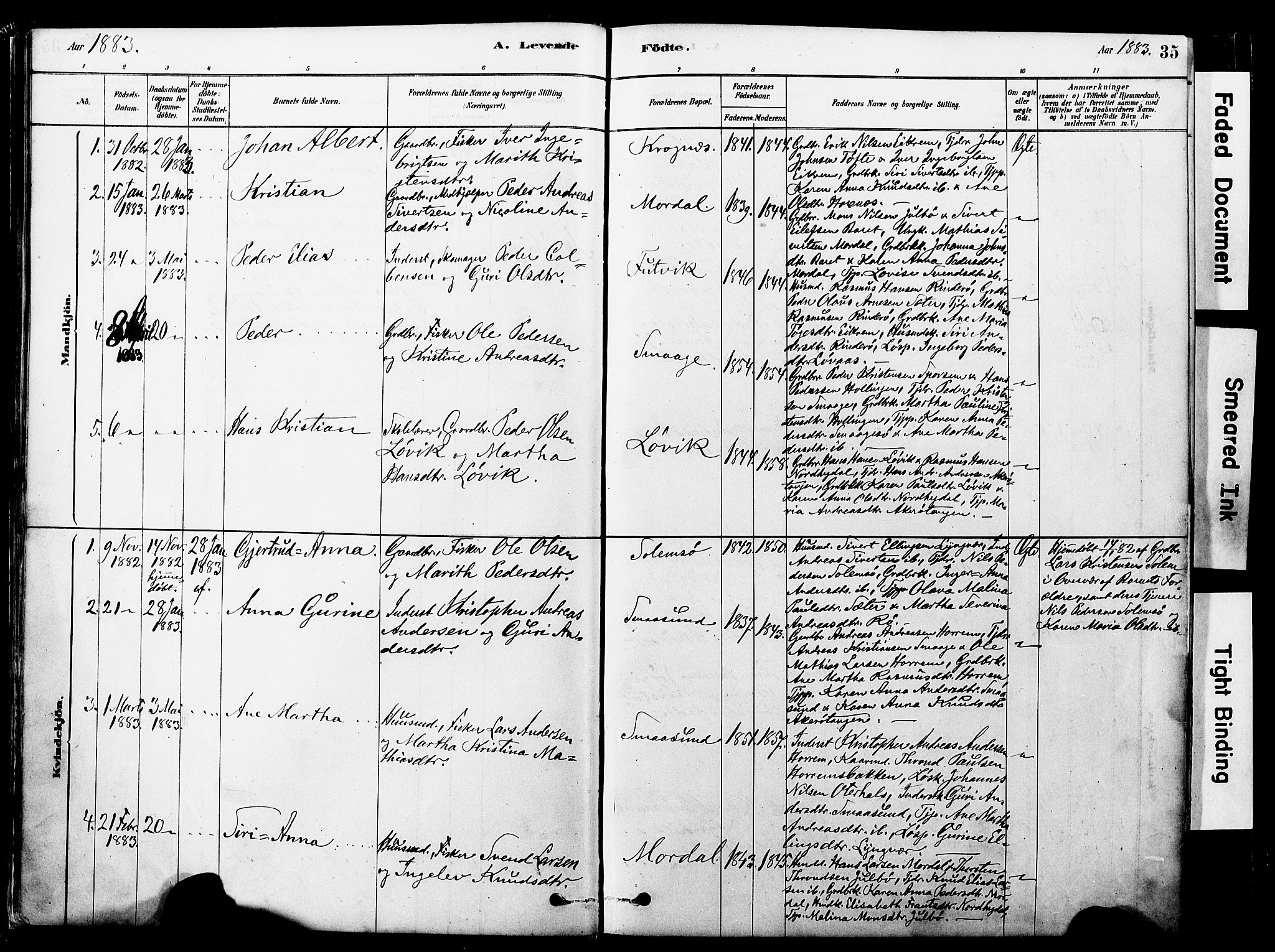 Ministerialprotokoller, klokkerbøker og fødselsregistre - Møre og Romsdal, AV/SAT-A-1454/560/L0721: Parish register (official) no. 560A05, 1878-1917, p. 35