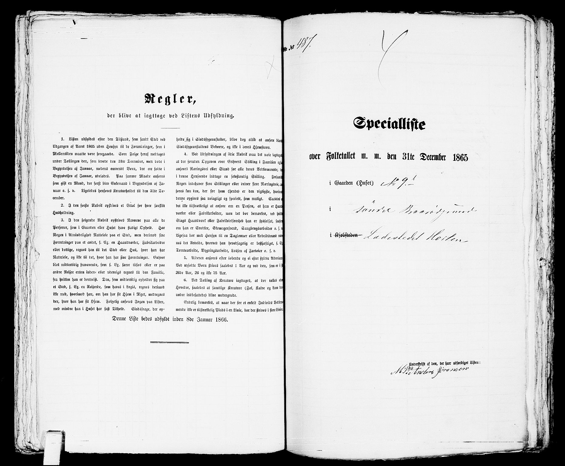 RA, 1865 census for Horten, 1865, p. 1017