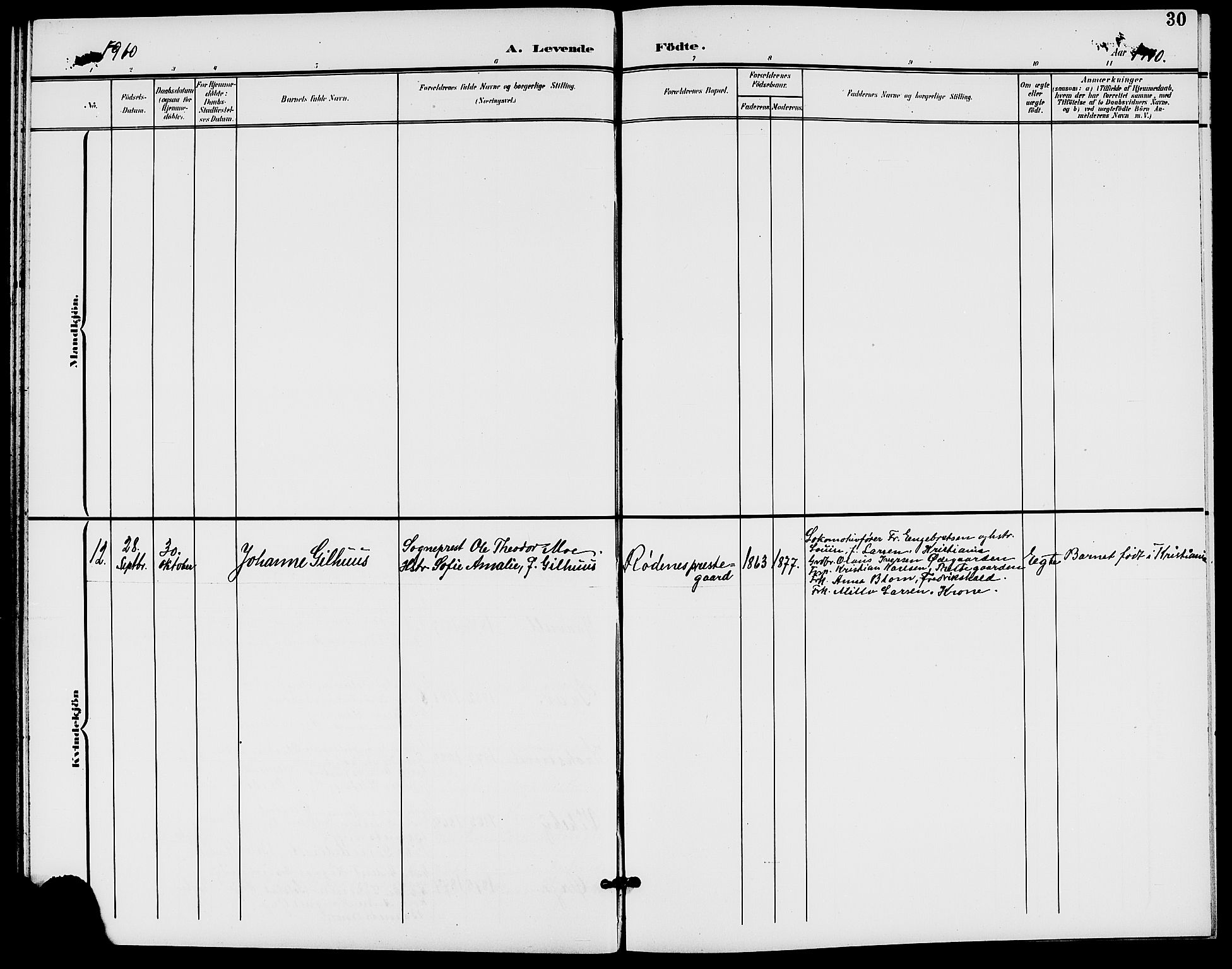 Rødenes prestekontor Kirkebøker, AV/SAO-A-2005/G/Ga/L0002: Parish register (copy) no. I 2, 1901-1910, p. 30