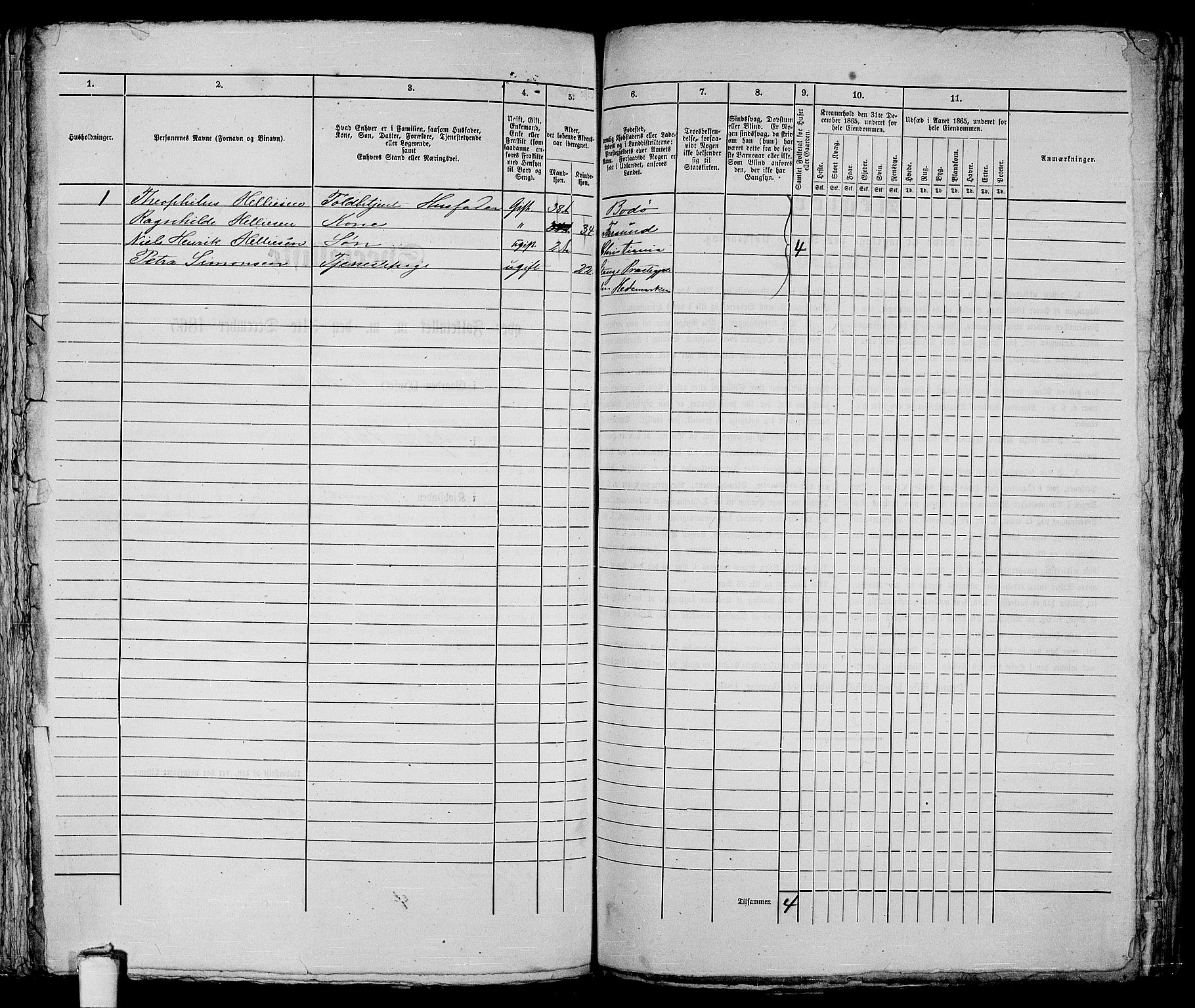 RA, 1865 census for Stavanger, 1865, p. 306