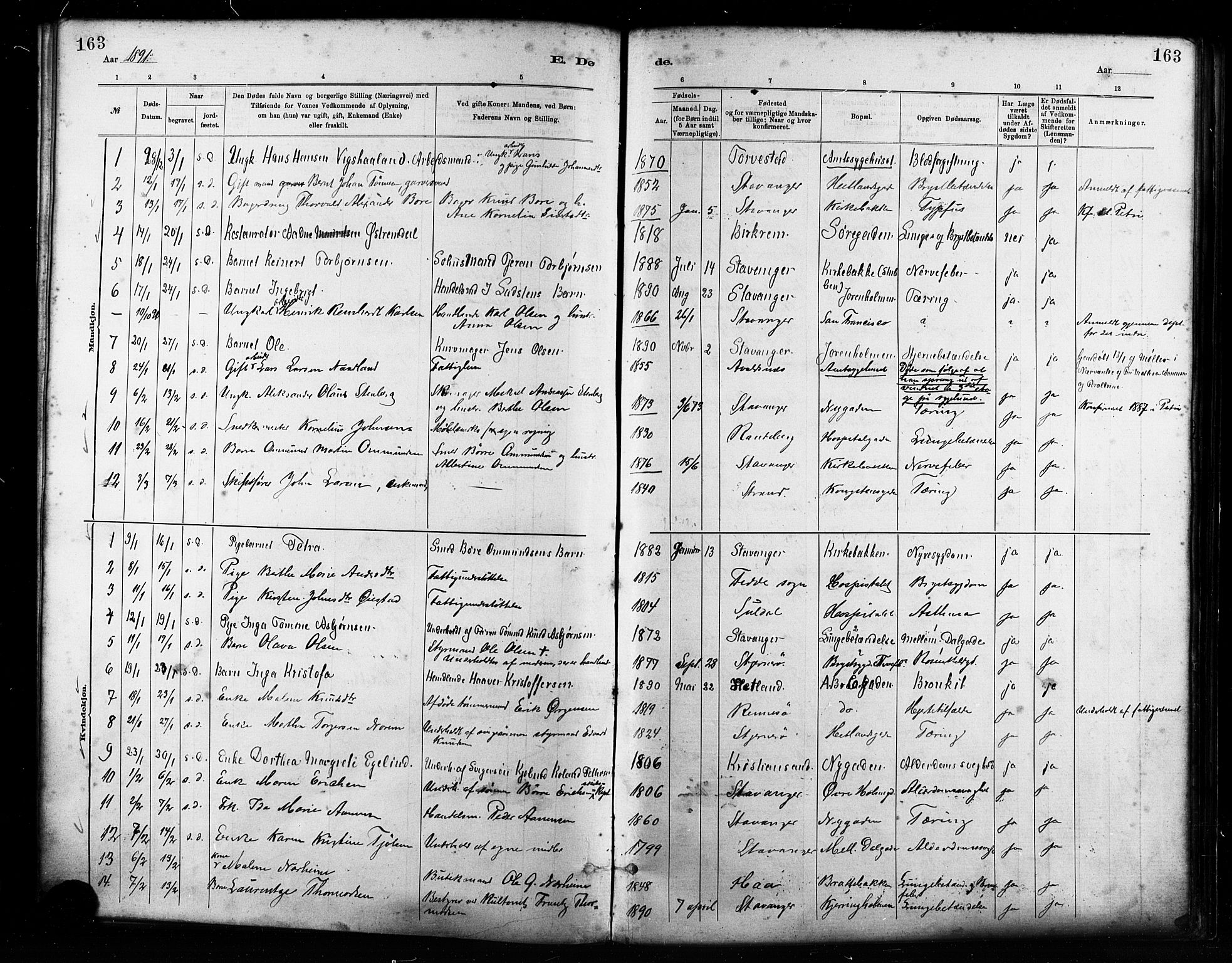 St. Petri sokneprestkontor, AV/SAST-A-101813/001/30/30BA/L0017: Parish register (official) no. A 17, 1879-1895, p. 163