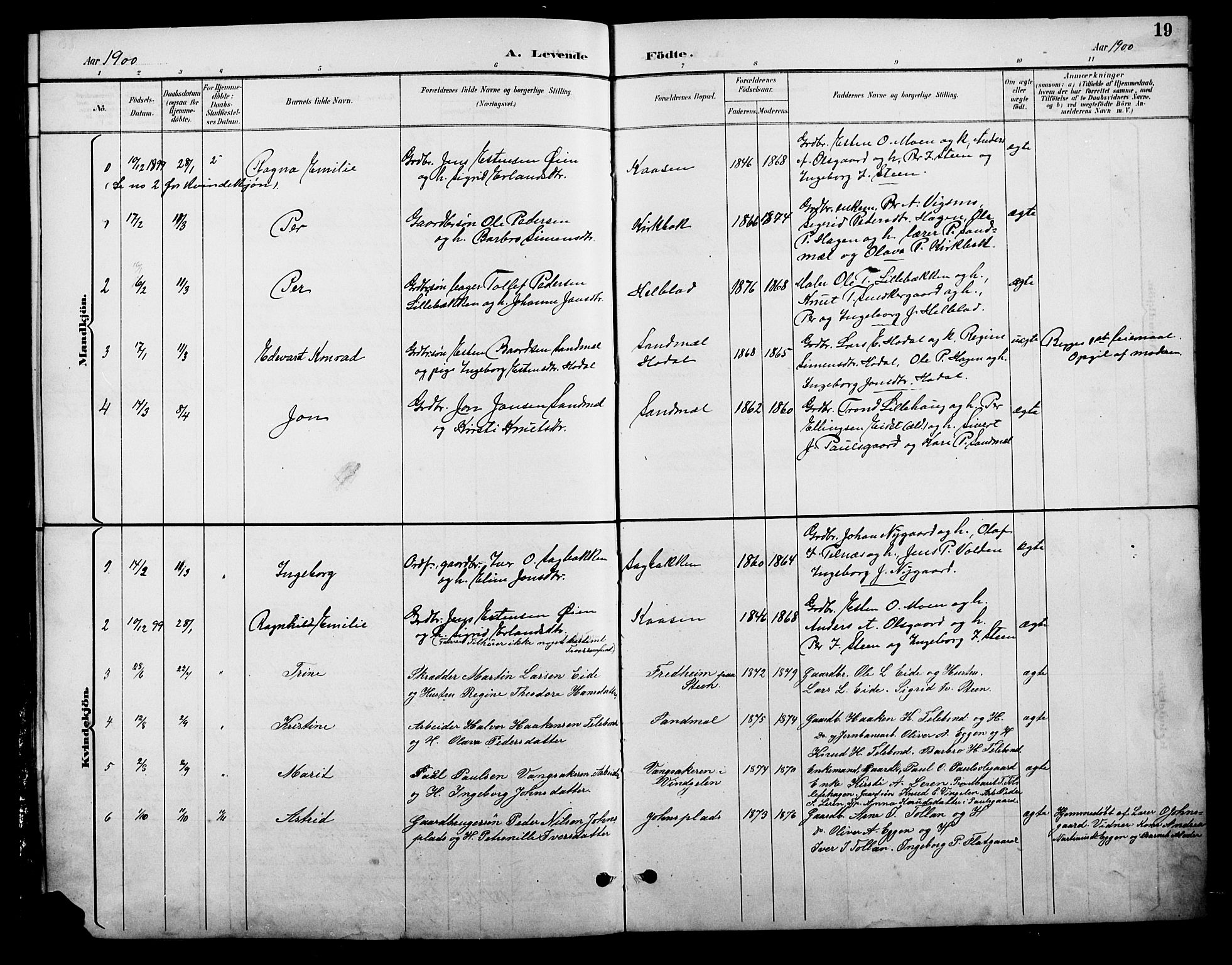 Tolga prestekontor, AV/SAH-PREST-062/L/L0009: Parish register (copy) no. 9, 1892-1919, p. 19