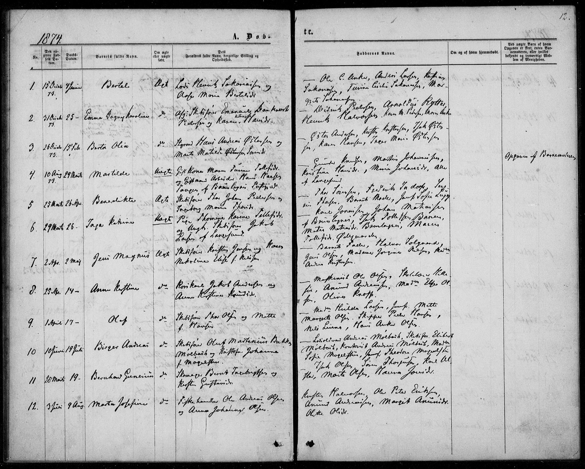 Langesund kirkebøker, SAKO/A-280/F/Fa/L0001: Parish register (official) no. 1, 1870-1877, p. 12