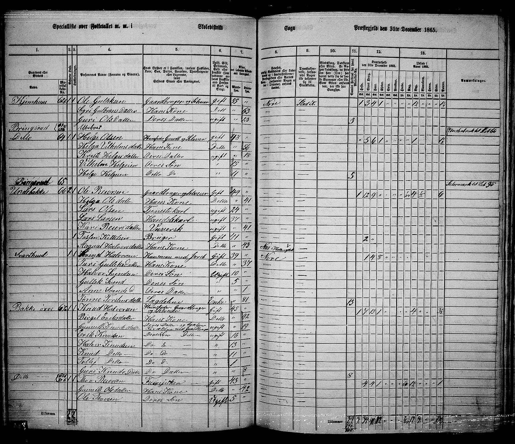 RA, 1865 census for Nore, 1865, p. 112