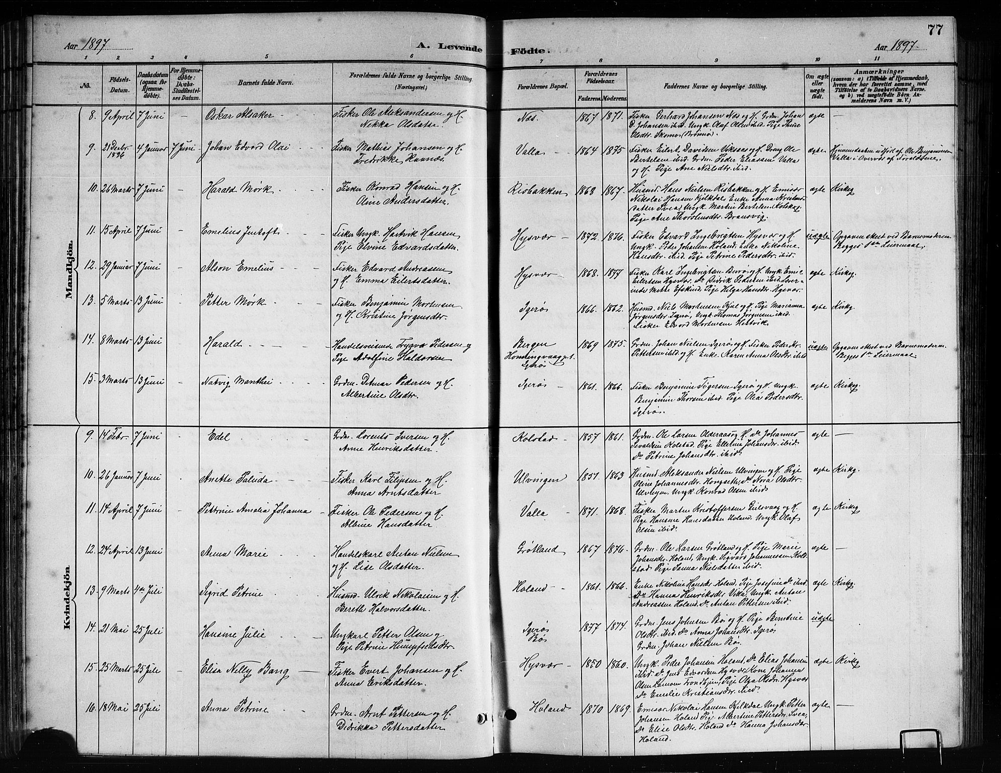 Ministerialprotokoller, klokkerbøker og fødselsregistre - Nordland, AV/SAT-A-1459/816/L0253: Parish register (copy) no. 816C03, 1886-1905, p. 77