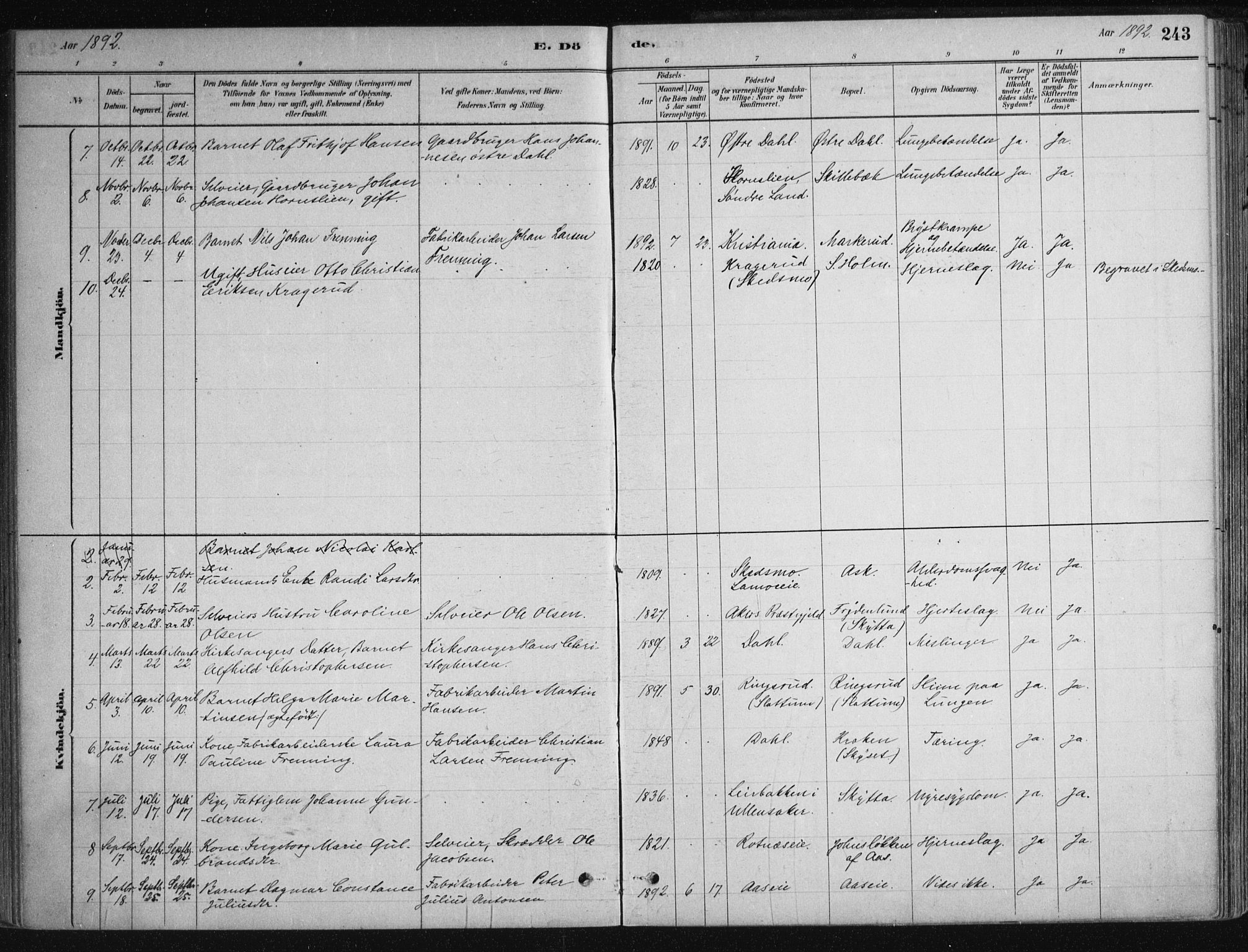 Nittedal prestekontor Kirkebøker, SAO/A-10365a/F/Fa/L0007: Parish register (official) no. I 7, 1879-1901, p. 243