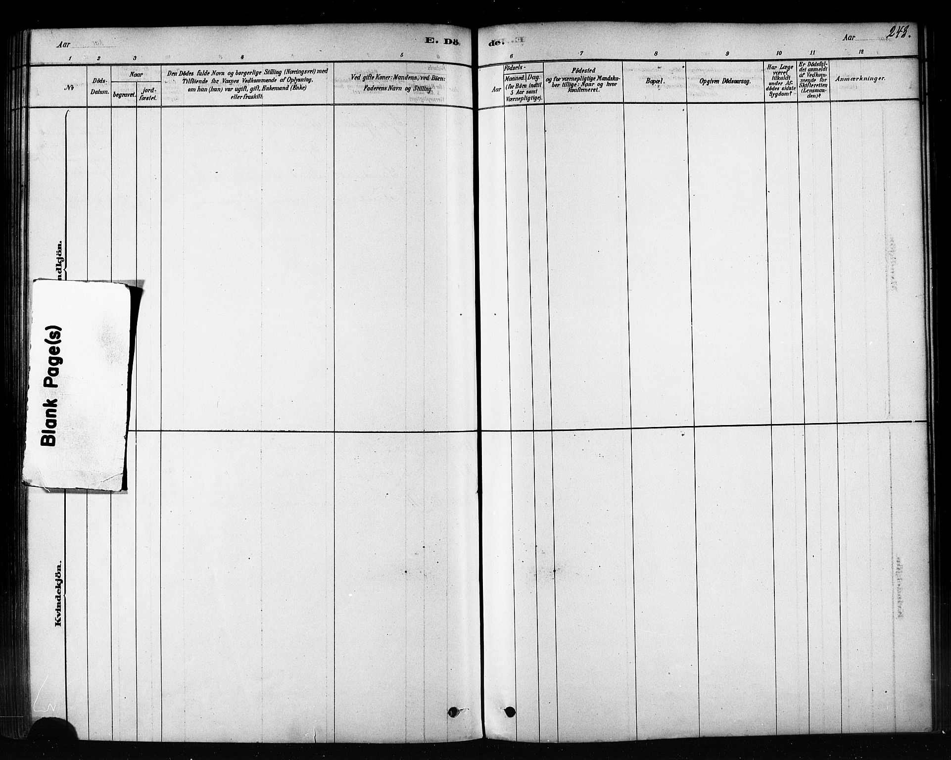 Sør-Varanger sokneprestkontor, AV/SATØ-S-1331/H/Ha/L0003kirke: Parish register (official) no. 3, 1878-1891, p. 243