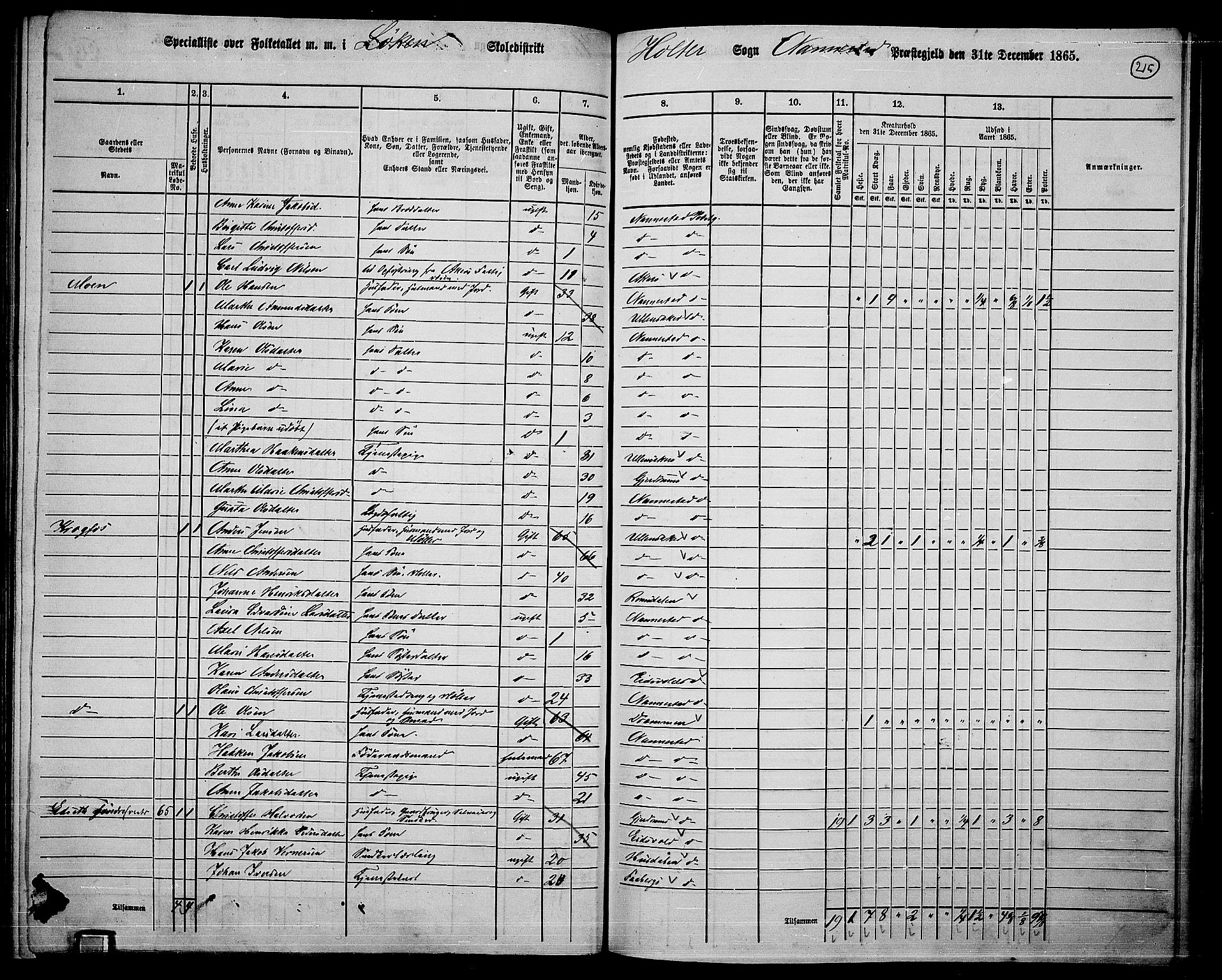 RA, 1865 census for Nannestad, 1865, p. 97