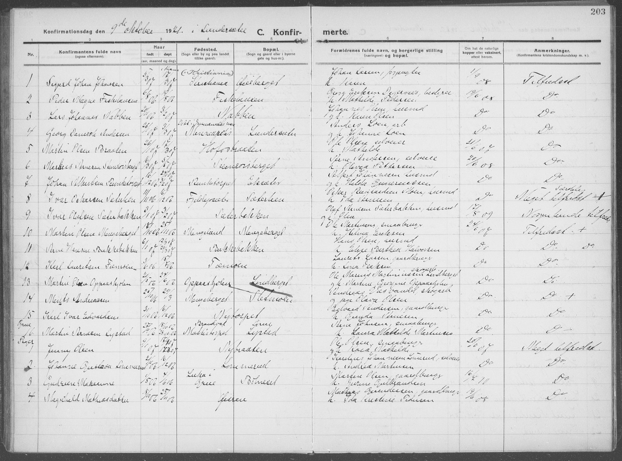 Brandval prestekontor, AV/SAH-PREST-034/H/Ha/Haa/L0004: Parish register (official) no. 4, 1910-1924, p. 203