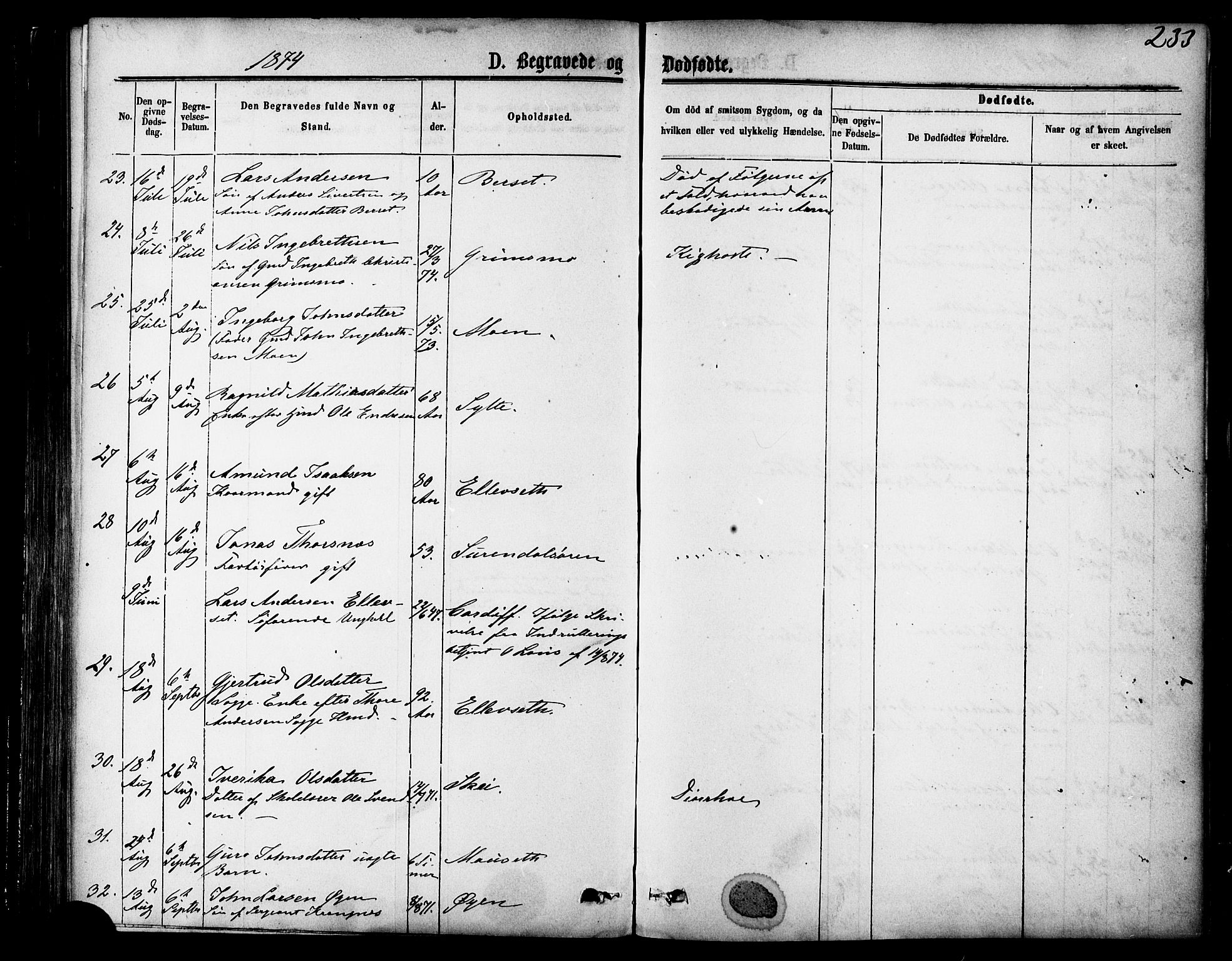 Ministerialprotokoller, klokkerbøker og fødselsregistre - Møre og Romsdal, AV/SAT-A-1454/595/L1046: Parish register (official) no. 595A08, 1874-1884, p. 233