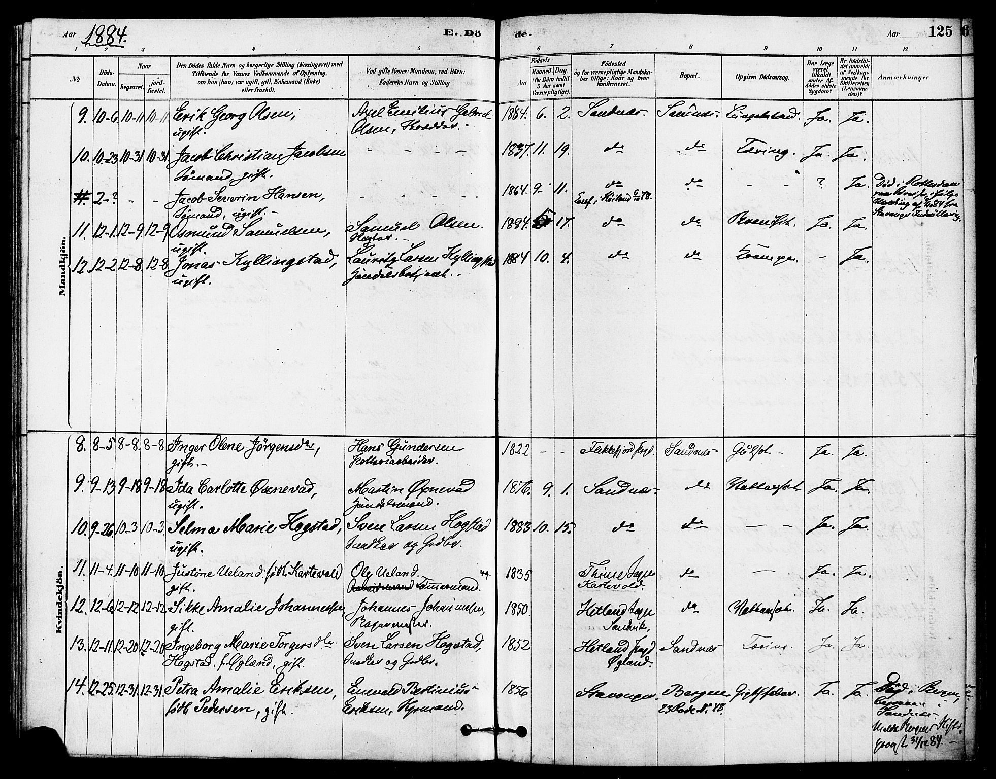 Høyland sokneprestkontor, SAST/A-101799/001/30BA/L0012: Parish register (official) no. A 11, 1878-1889, p. 125