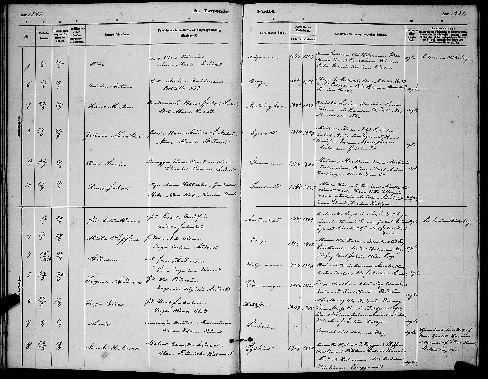 Brunlanes kirkebøker, AV/SAKO-A-342/G/Gb/L0002: Parish register (copy) no. II 2, 1878-1902