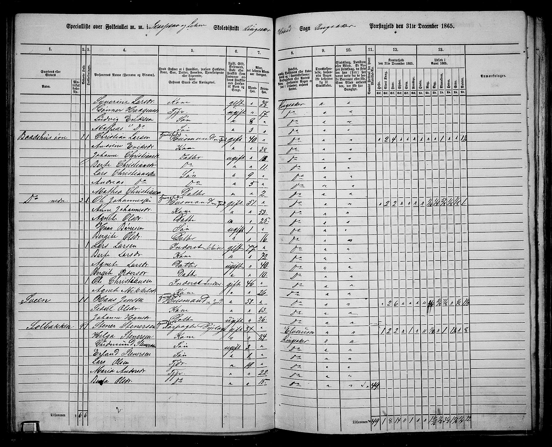 RA, 1865 census for Ringsaker, 1865, p. 133