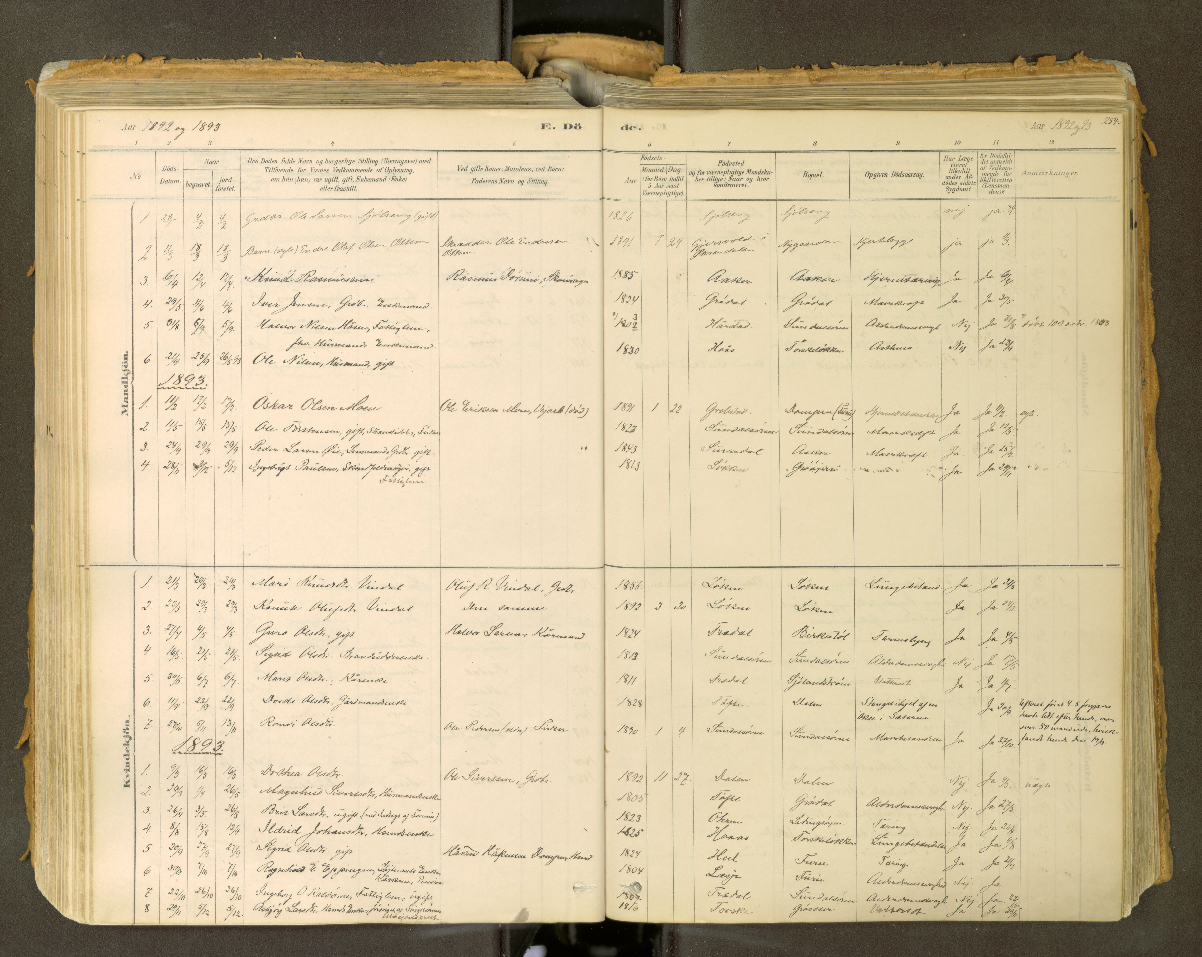 Sunndal sokneprestkontor, SAT/A-1085/1/I/I1/I1a: Parish register (official) no. 2, 1877-1914, p. 254