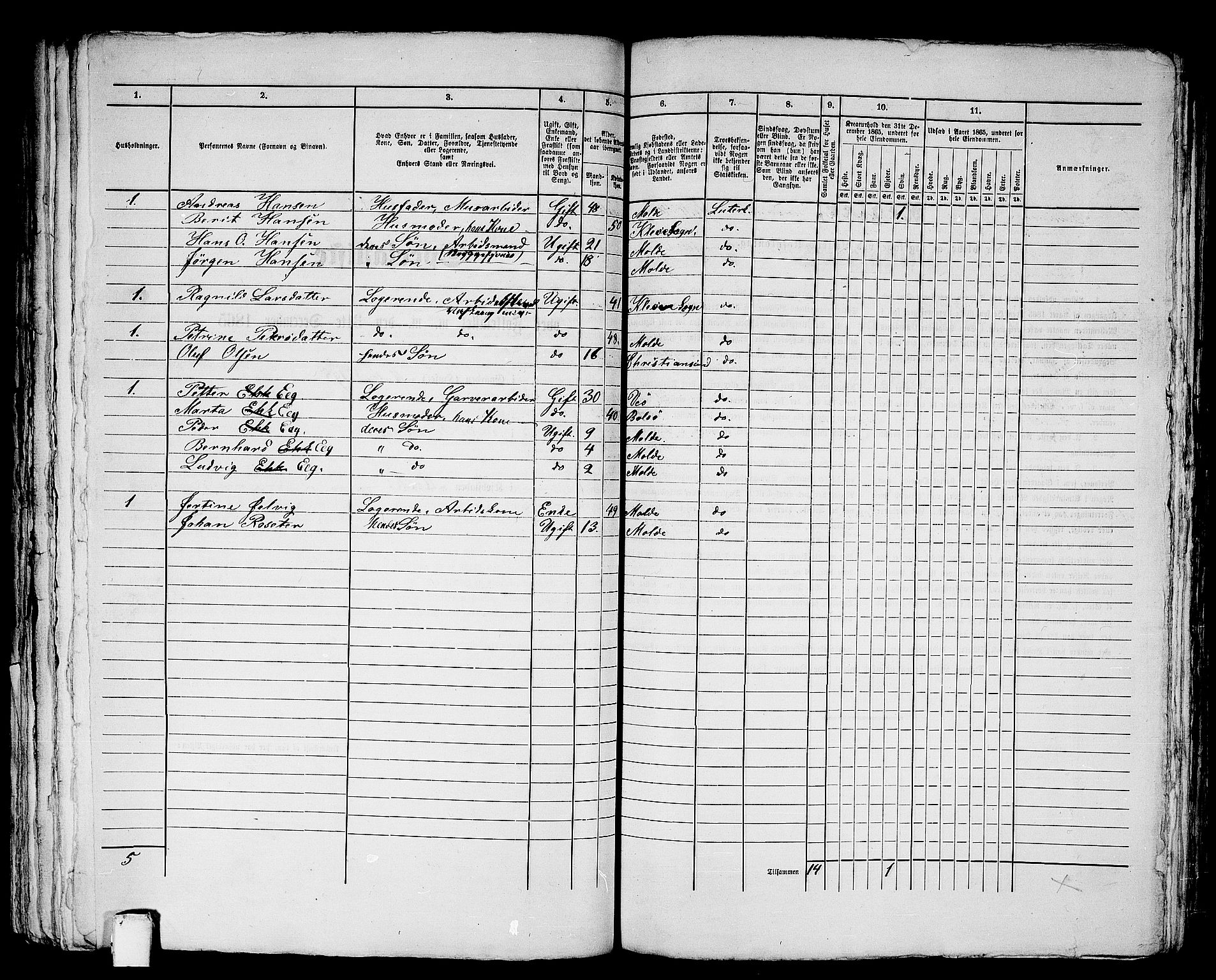 RA, 1865 census for Molde, 1865, p. 173