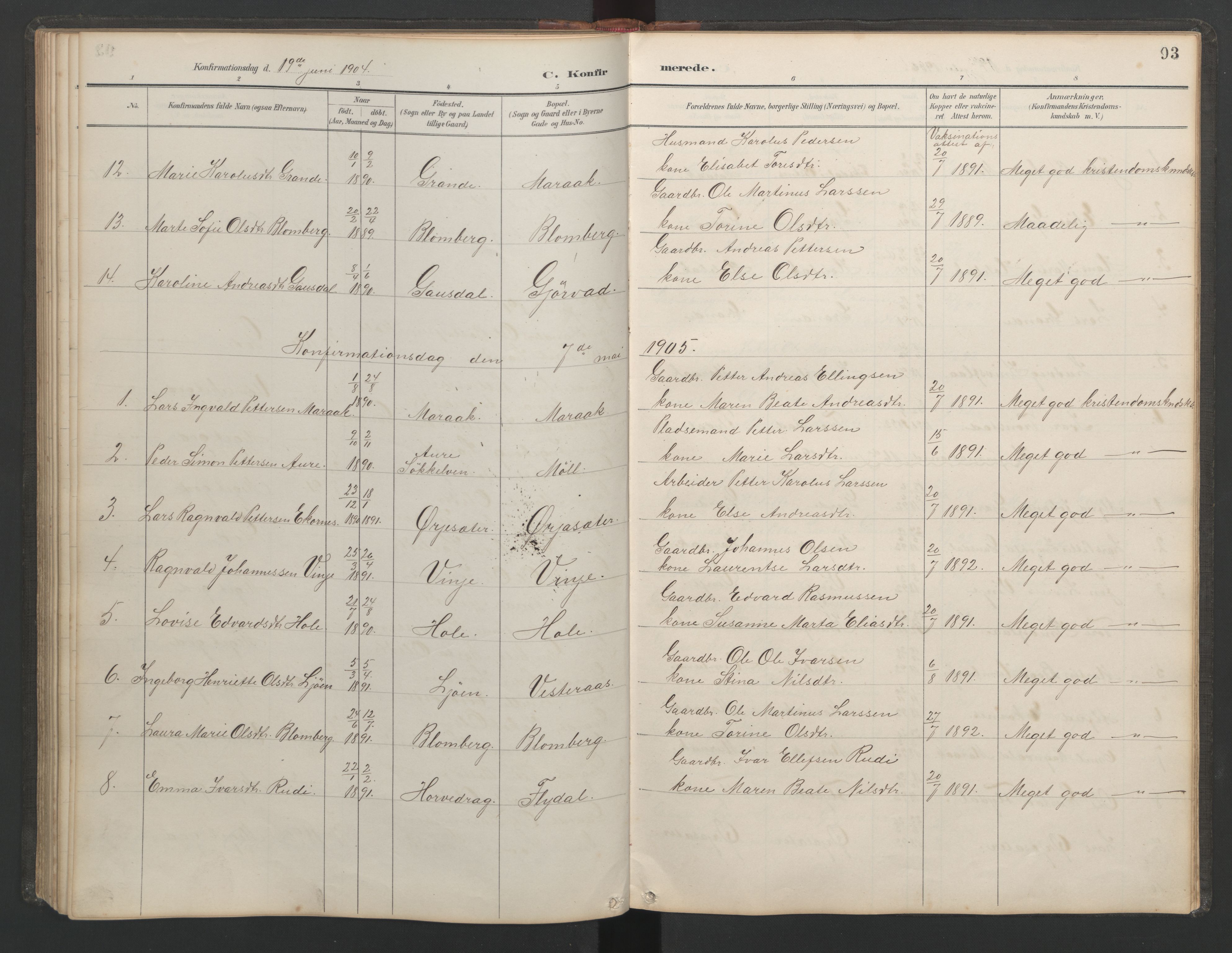 Ministerialprotokoller, klokkerbøker og fødselsregistre - Møre og Romsdal, AV/SAT-A-1454/518/L0236: Parish register (copy) no. 518C03, 1889-1960, p. 93