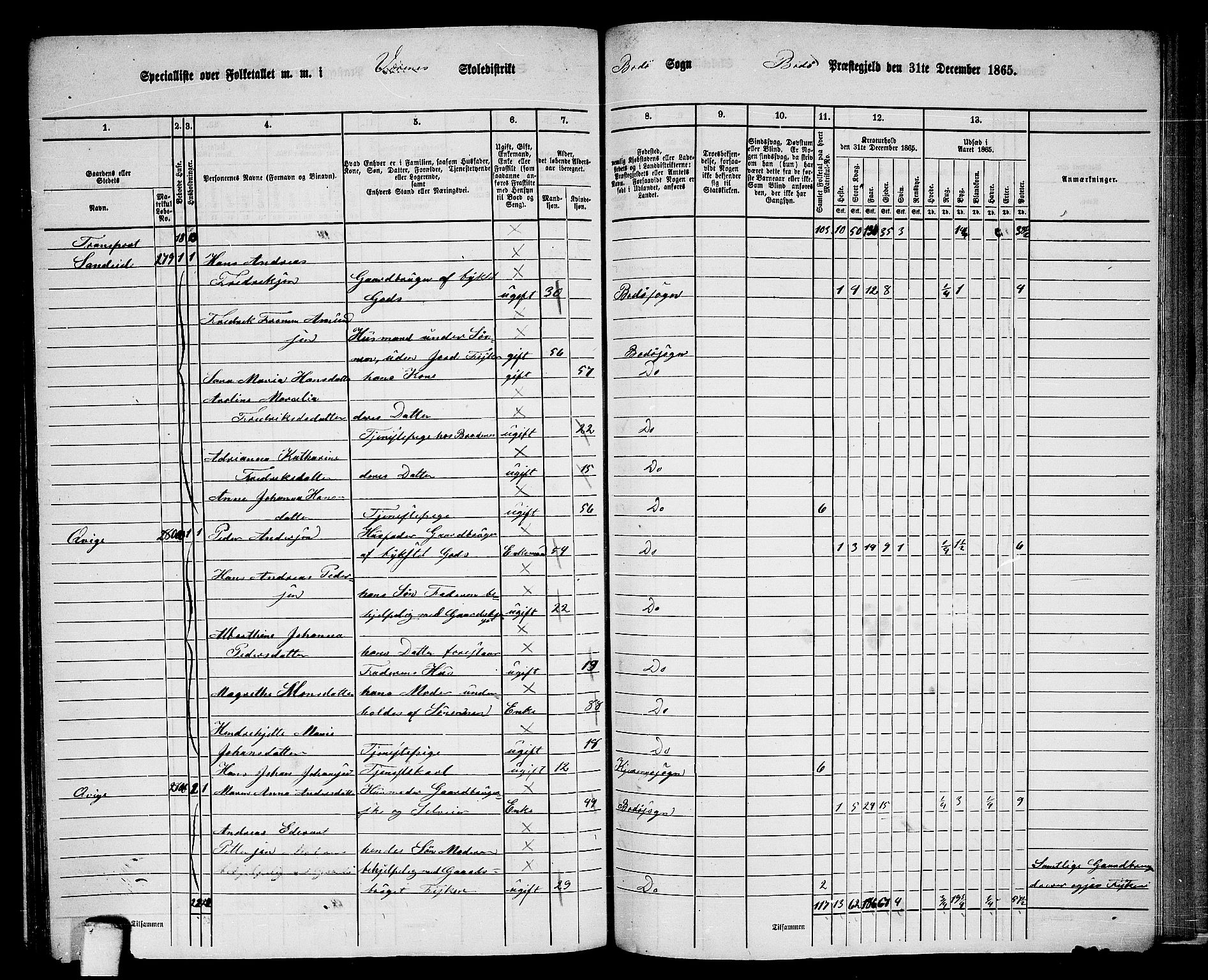 RA, 1865 census for Bodø/Bodø, 1865, p. 141