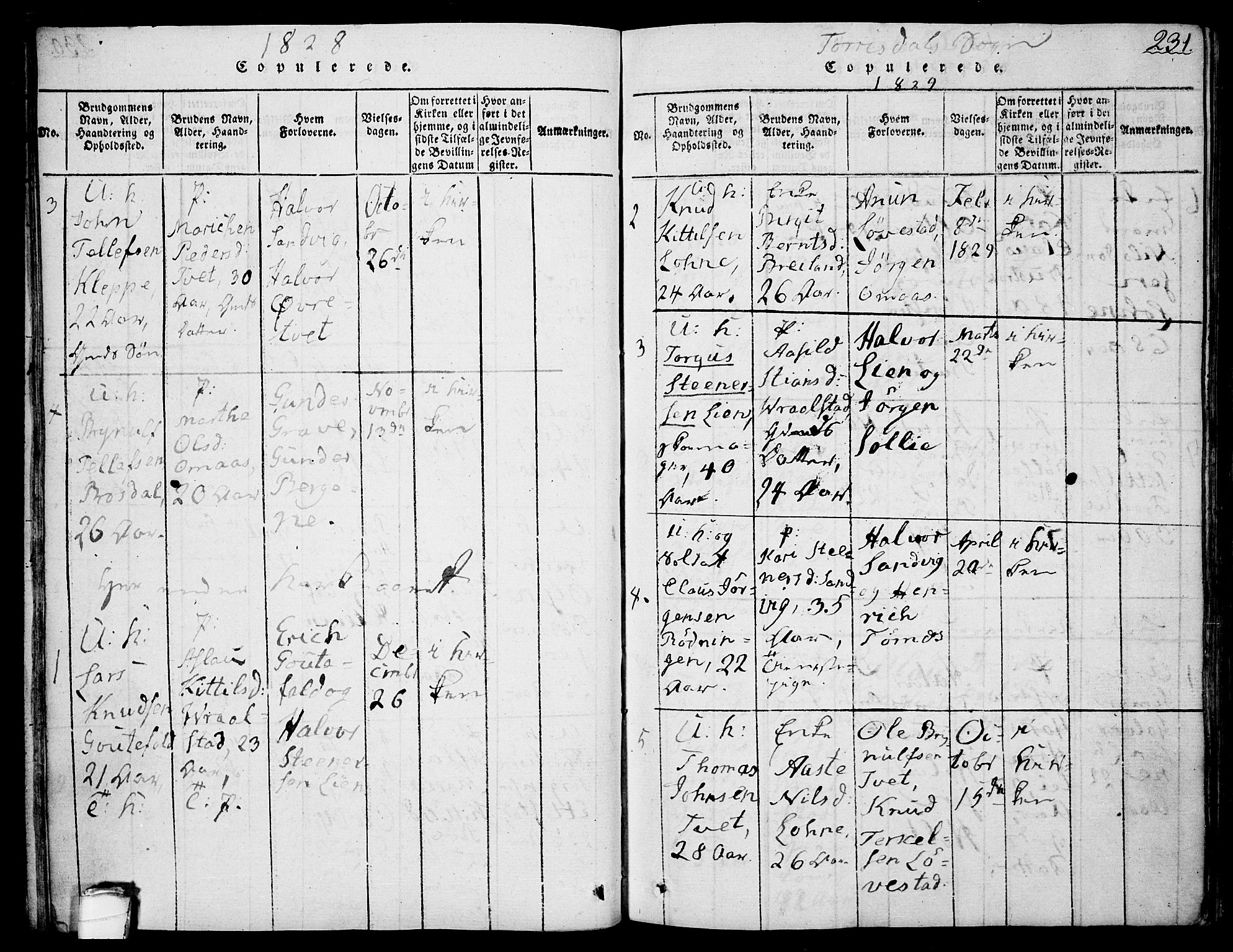 Drangedal kirkebøker, SAKO/A-258/F/Fa/L0005: Parish register (official) no. 5 /2, 1814-1831, p. 231
