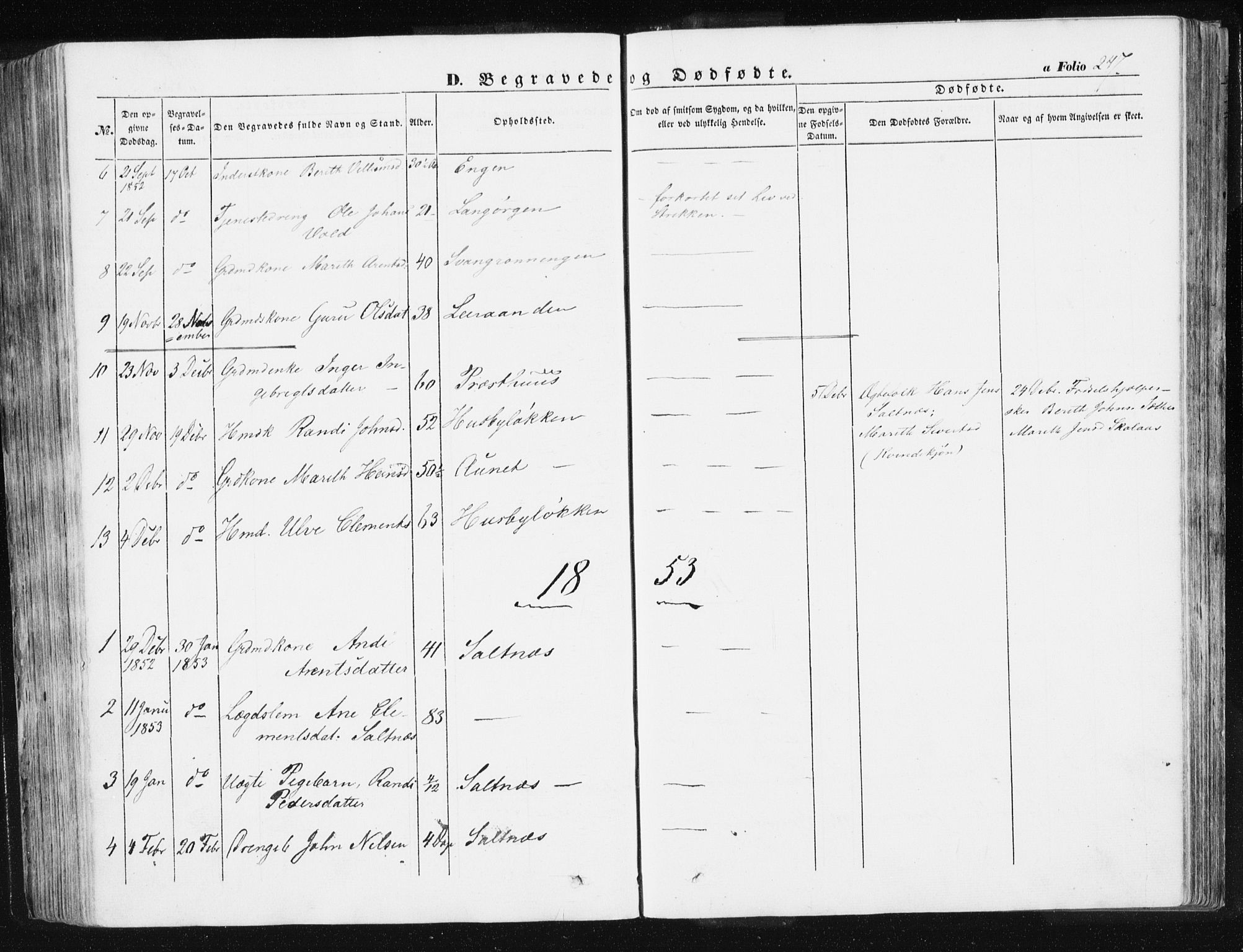 Ministerialprotokoller, klokkerbøker og fødselsregistre - Sør-Trøndelag, AV/SAT-A-1456/612/L0376: Parish register (official) no. 612A08, 1846-1859, p. 247