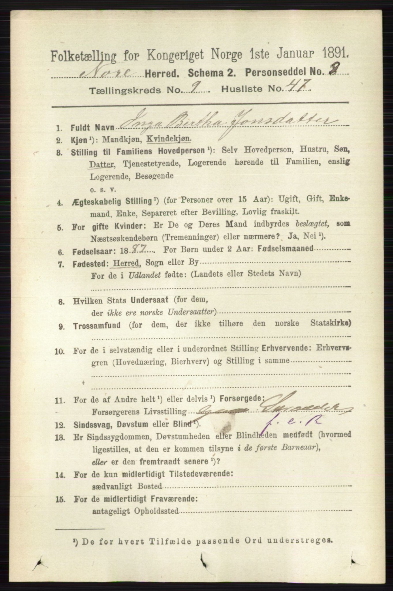 RA, 1891 census for 0633 Nore, 1891, p. 3485