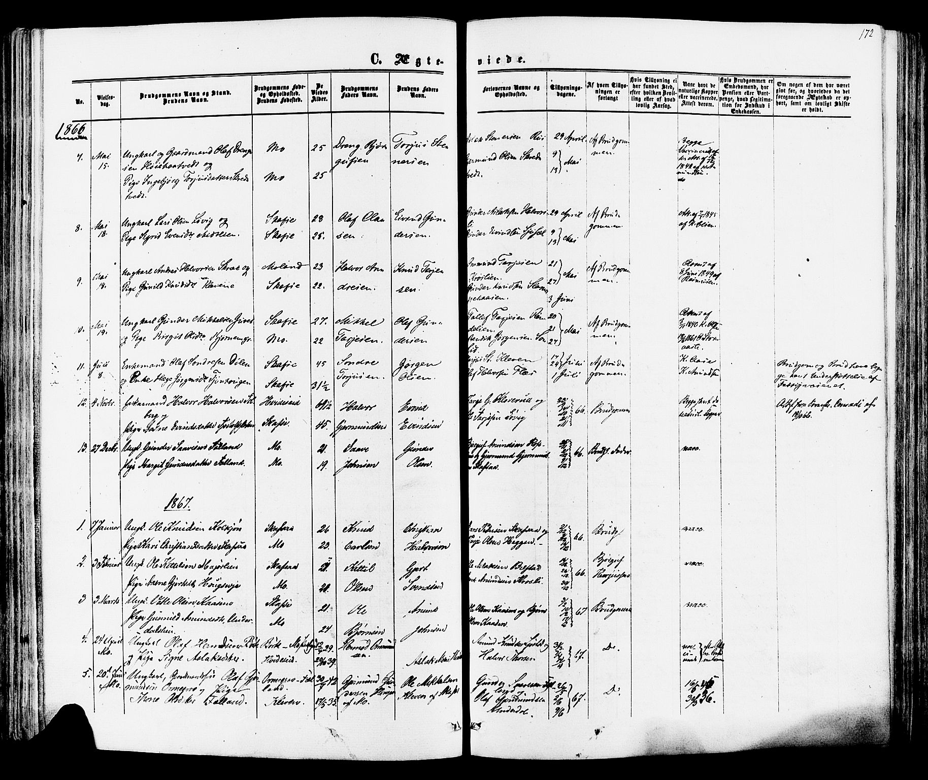Mo kirkebøker, SAKO/A-286/F/Fa/L0006: Parish register (official) no. I 6, 1865-1885, p. 172