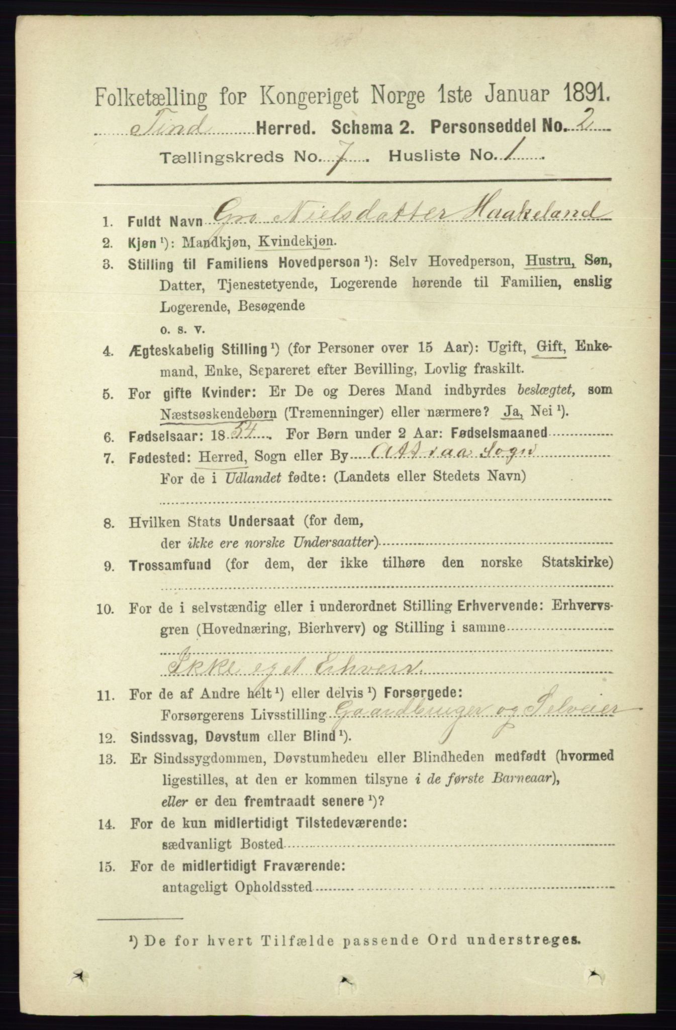 RA, 1891 census for 0826 Tinn, 1891, p. 1440