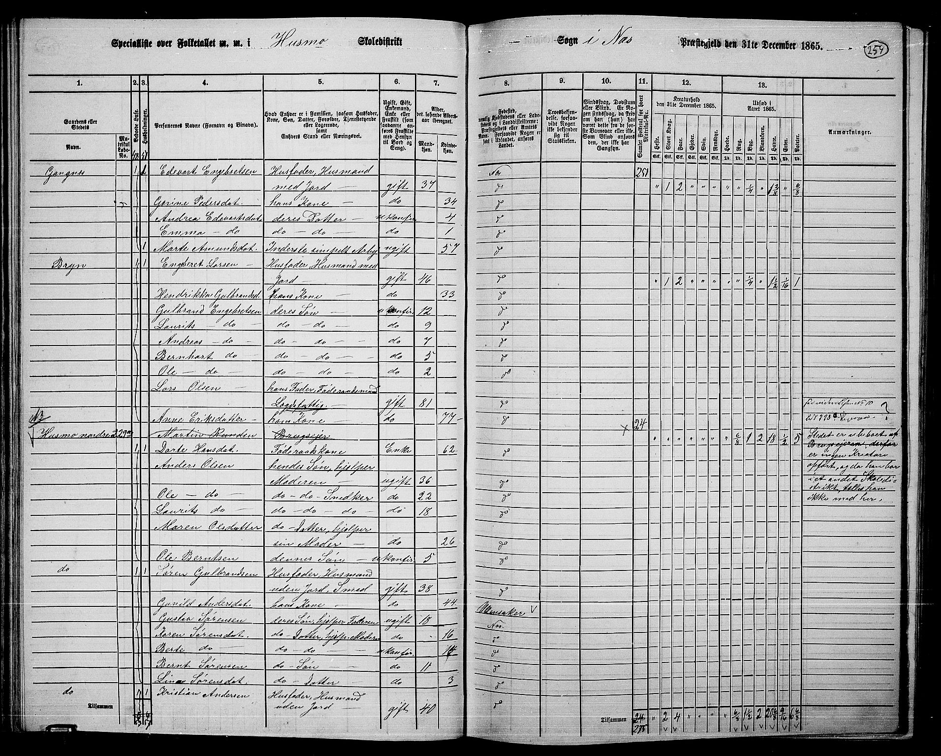 RA, 1865 census for Nes, 1865, p. 237