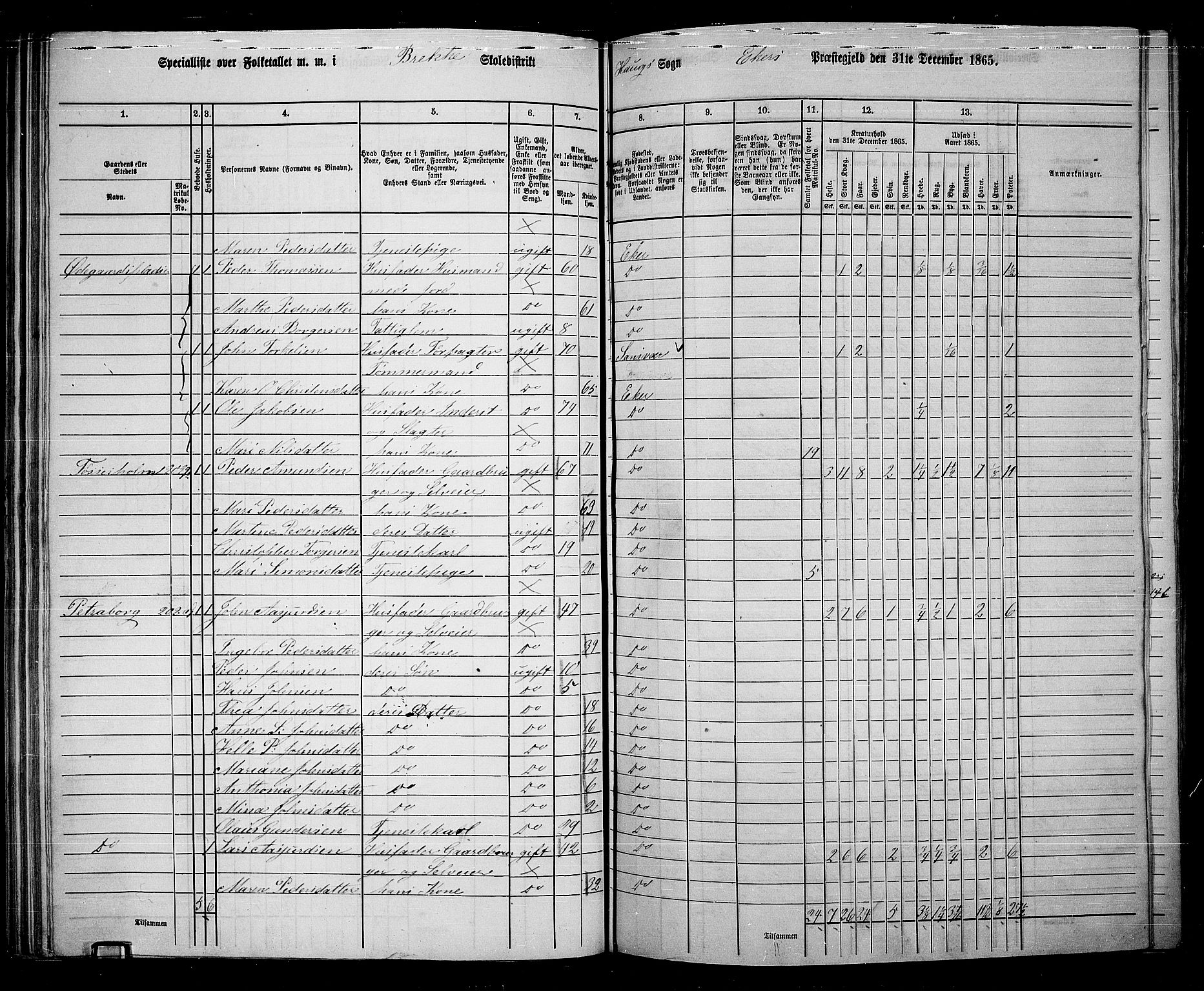 RA, 1865 census for Eiker, 1865, p. 79