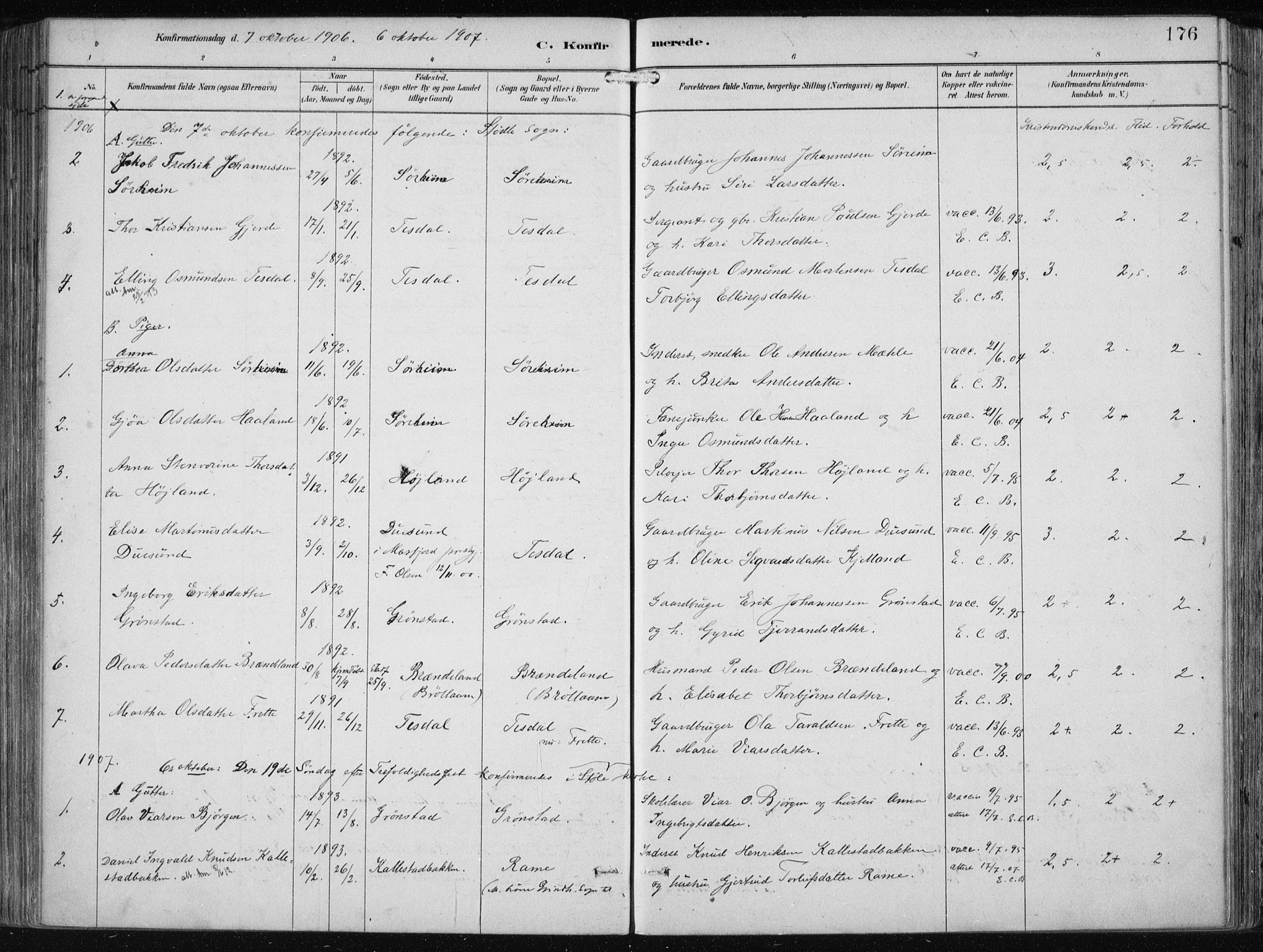 Etne sokneprestembete, SAB/A-75001/H/Haa: Parish register (official) no. B  1, 1879-1919, p. 176
