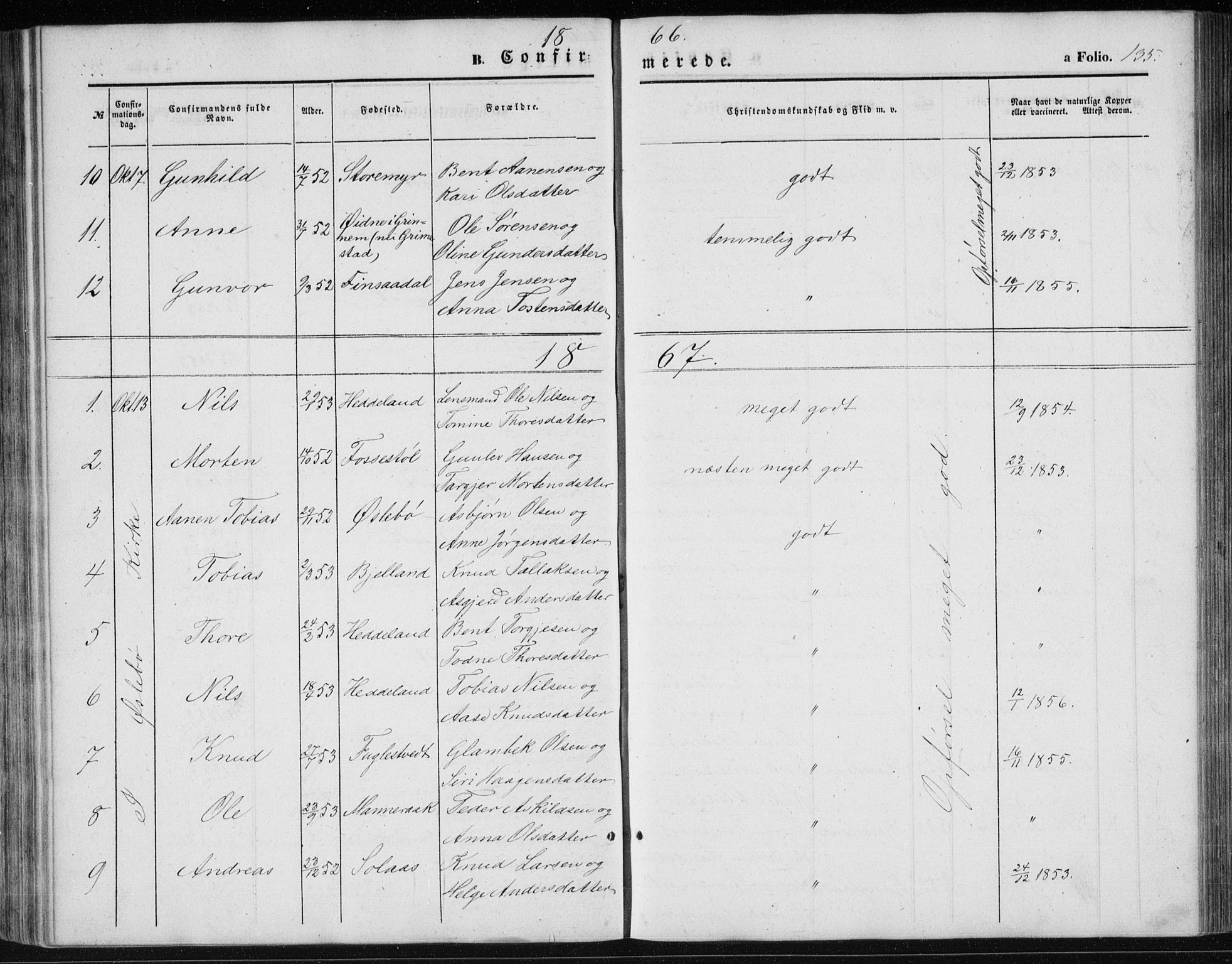 Holum sokneprestkontor, AV/SAK-1111-0022/F/Fb/Fbc/L0002: Parish register (copy) no. B 2, 1860-1882, p. 135