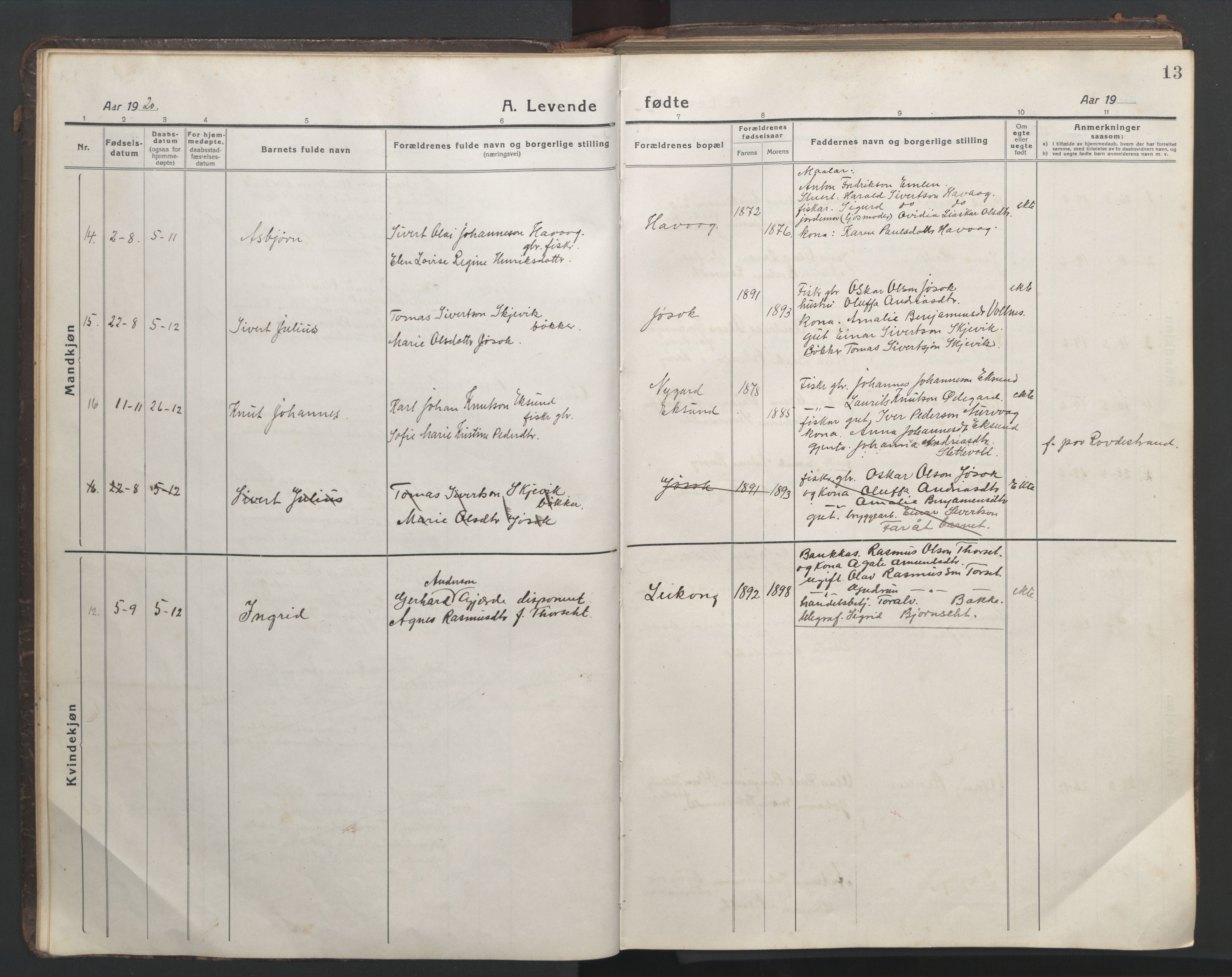 Ministerialprotokoller, klokkerbøker og fødselsregistre - Møre og Romsdal, AV/SAT-A-1454/508/L0099: Parish register (copy) no. 508C03, 1917-1947, p. 13